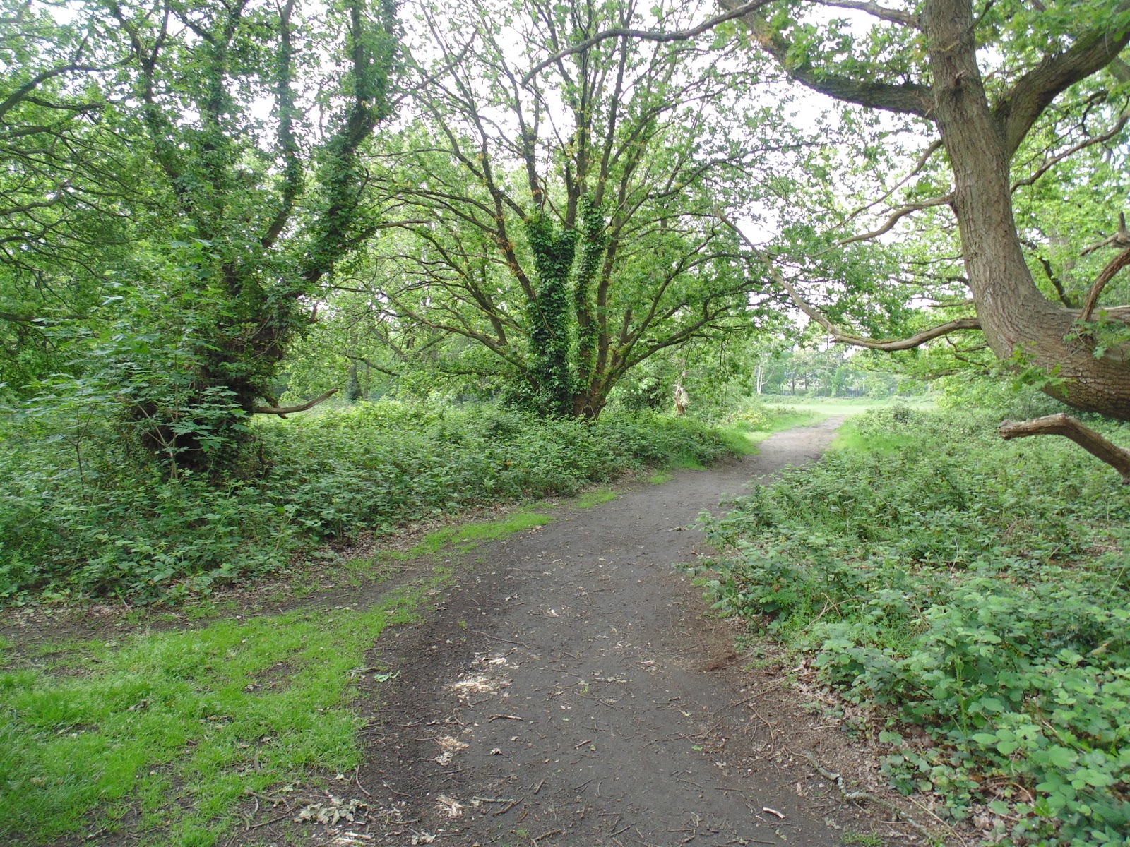 Barnes Common London (2026) – Best of TikTok, Instagram & Reddit Travel ...