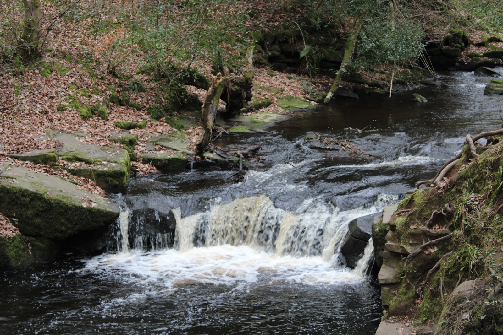 Rivelin Valley Spring Rivelin Valley Nature Trail (2026) – Best of TikTok, Instagram & Reddit ...