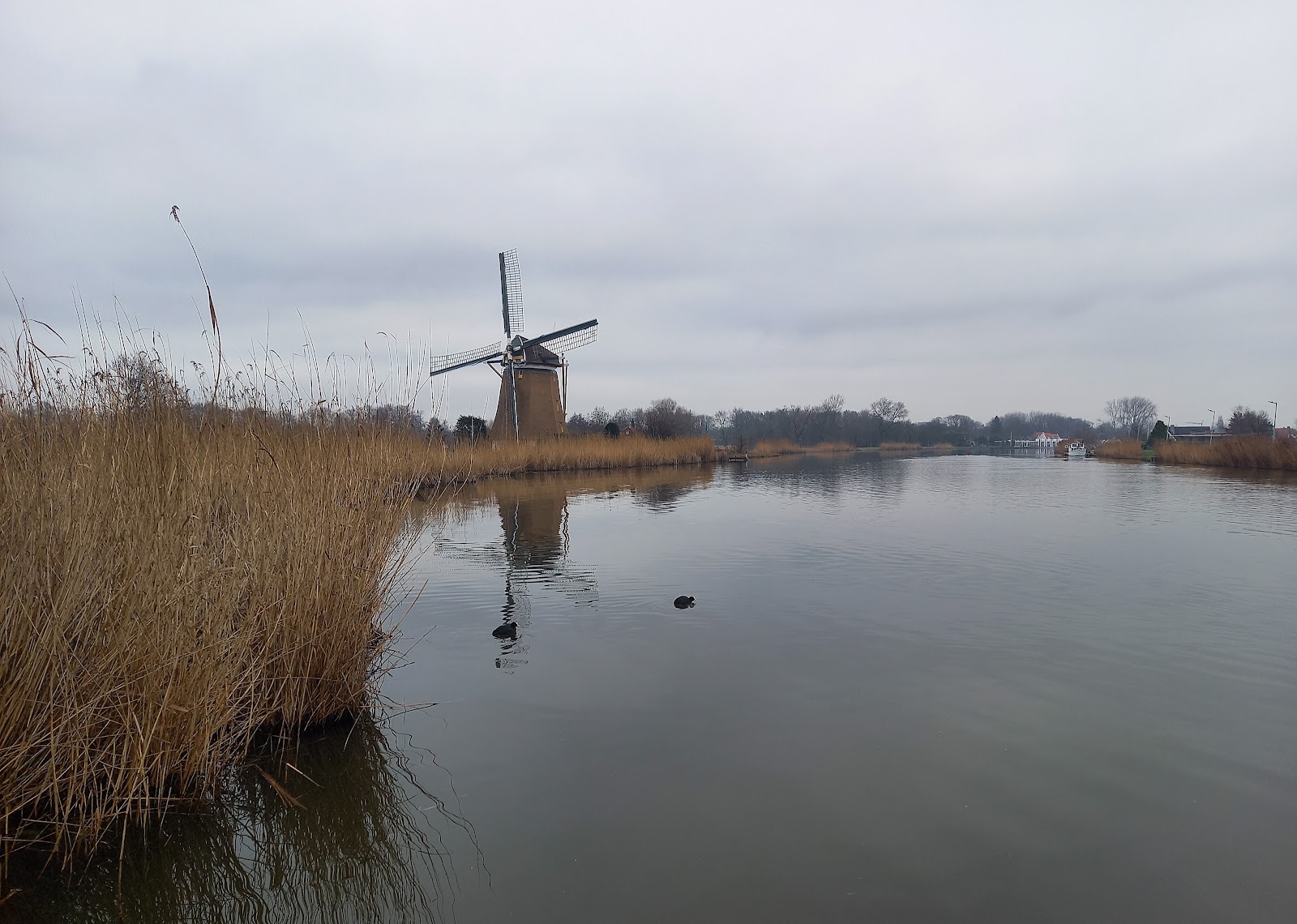 De Rotte River Bleiswijk (2026) – Best of TikTok, Instagram & Reddit ...