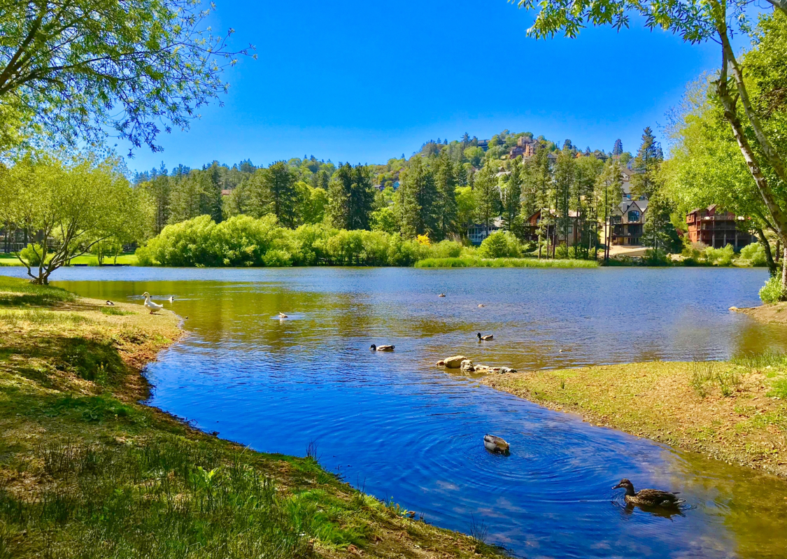 Grass Valley Park (2026) – Best of TikTok, Instagram & Reddit Travel Guide