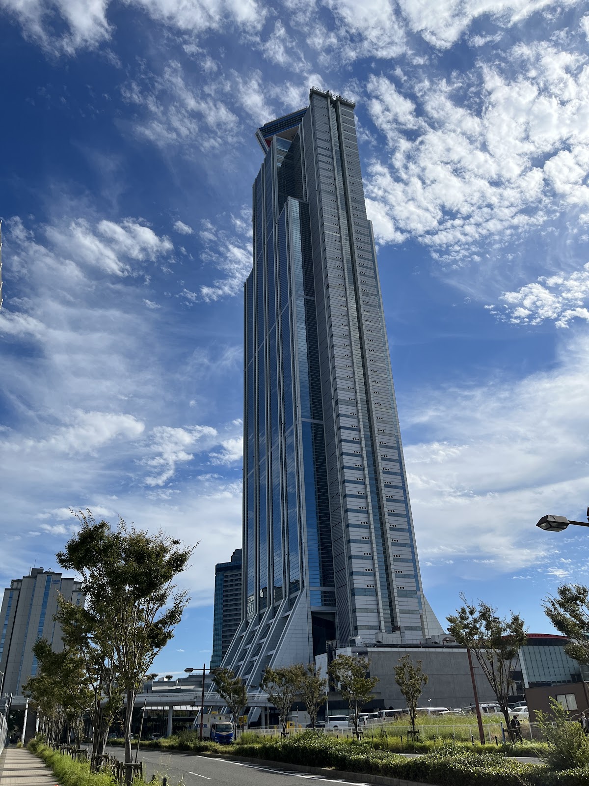 エゴスキュー　タワー エゴスキュー タワー 健康 股関節