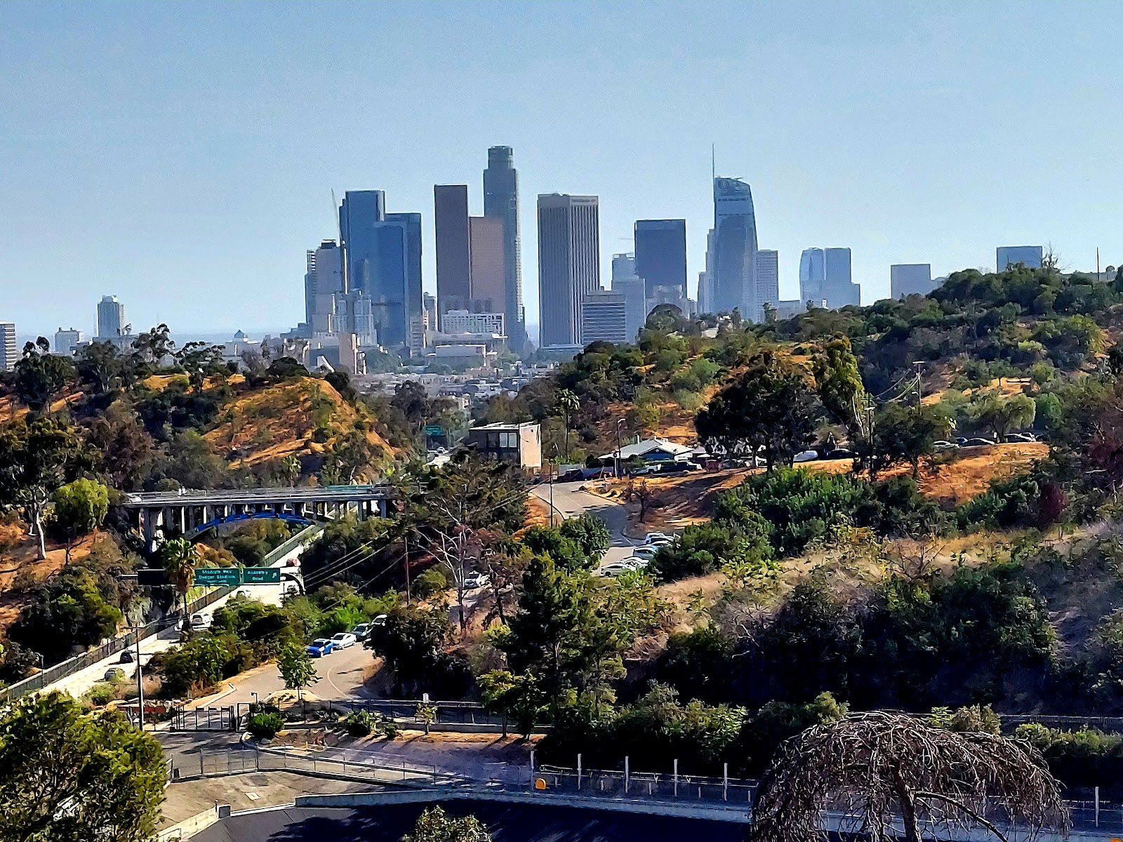 Angels Point (2026) – Best of TikTok, Instagram & Reddit Travel Guide