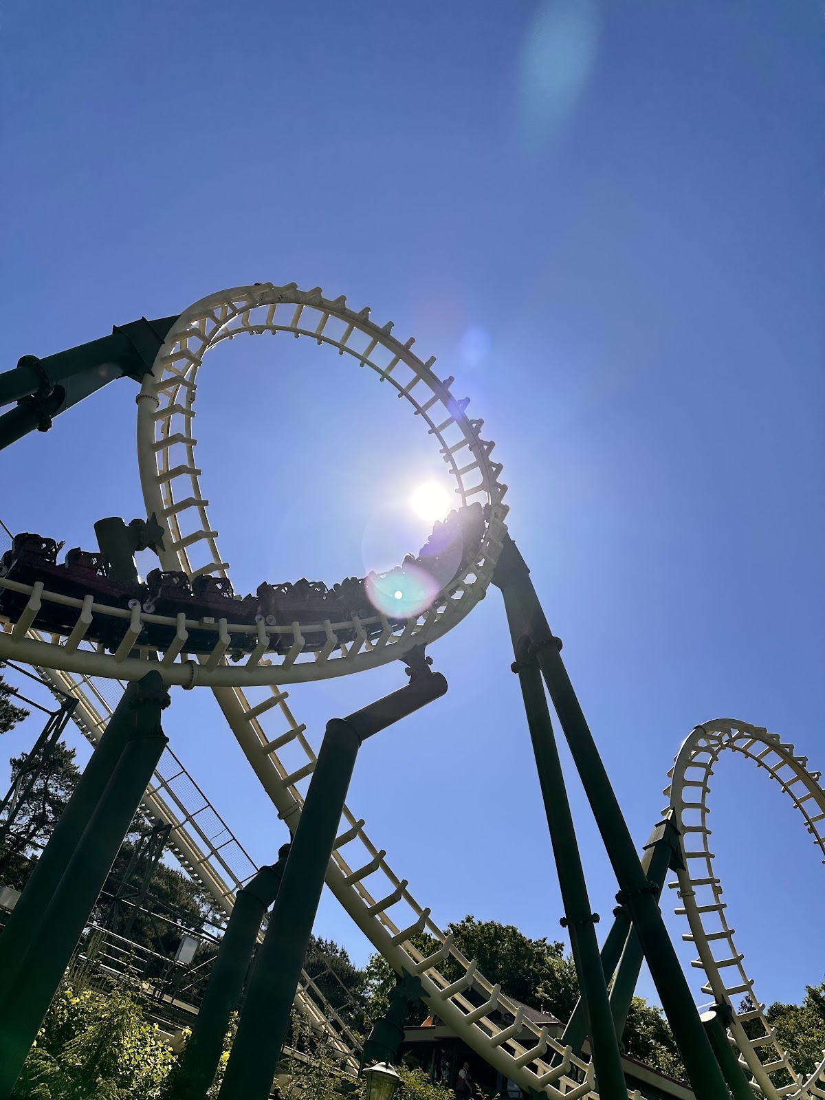 Python Efteling (2026) – Best of TikTok, Instagram & Reddit Travel Guide