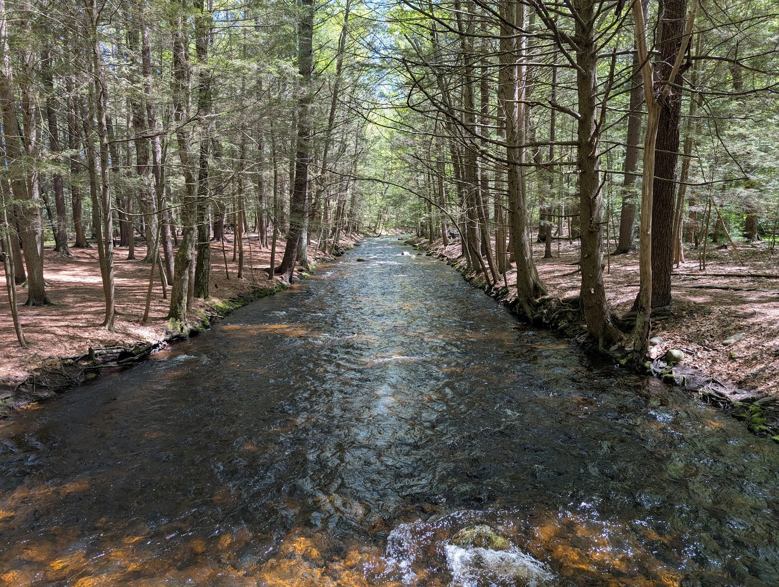 Amethyst Brook Conservation Area (2026) – Best of TikTok, Instagram ...
