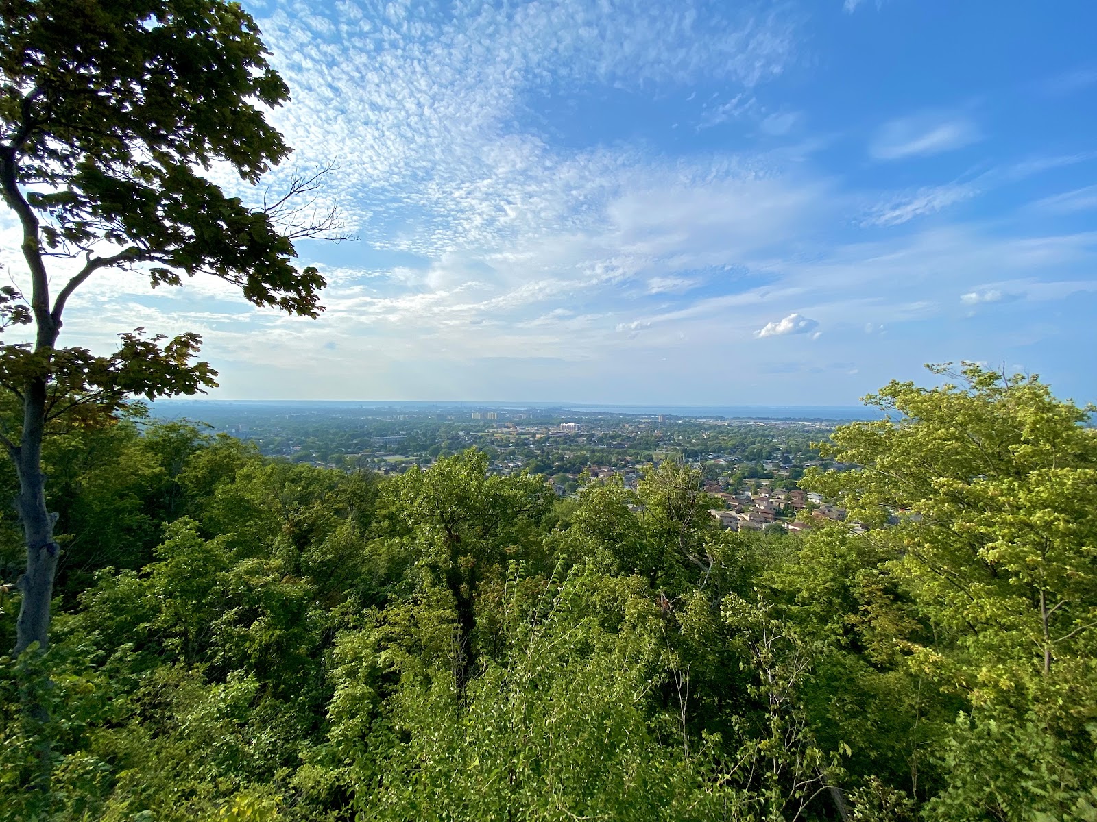 Mary Ridge Drive Ridge Road Scenic Drive (2026) – Best of TikTok, Instagram & Reddit ...