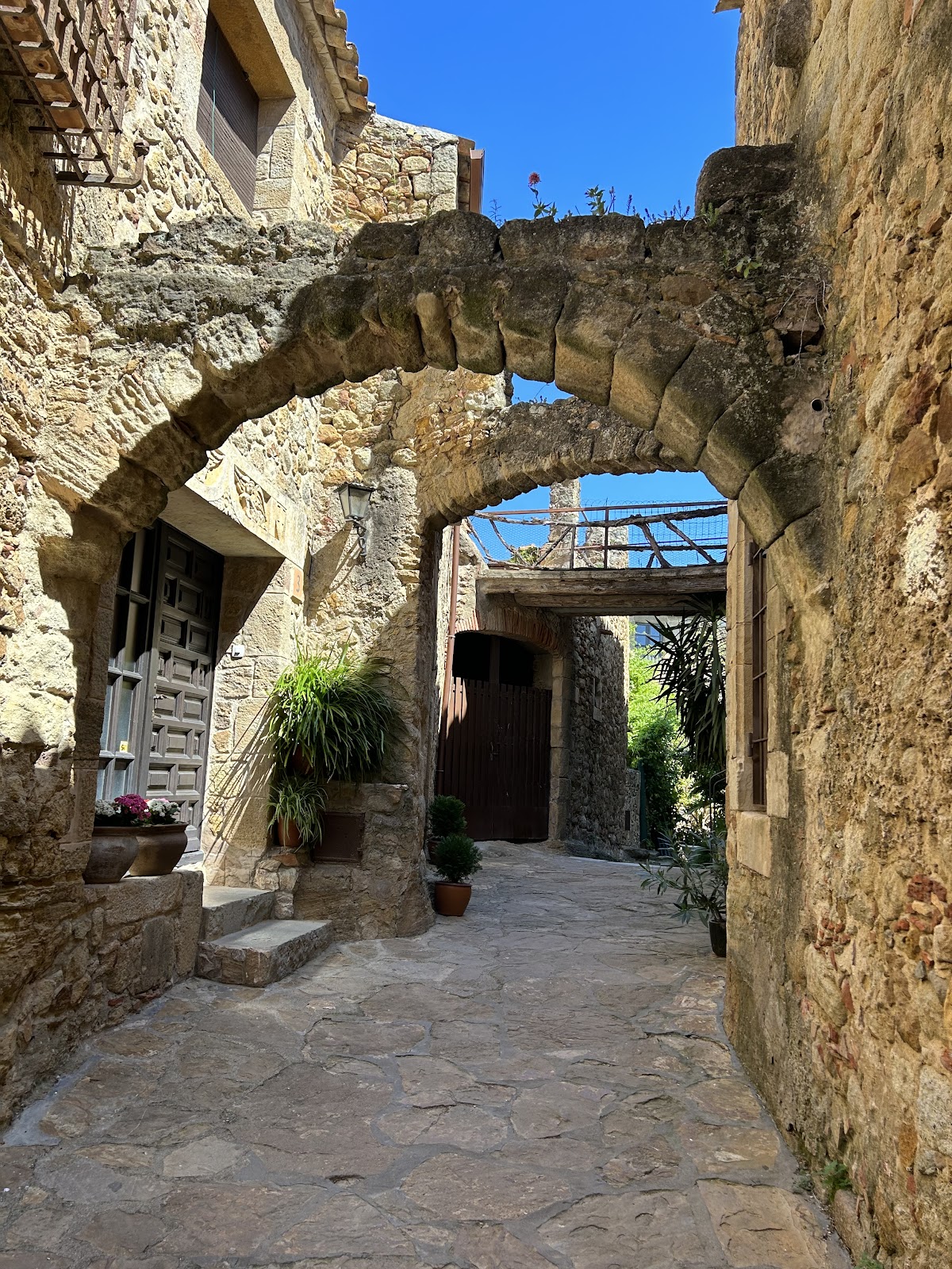 El Pedró Old Quarter Pals (2025) – Best of TikTok, Instagram