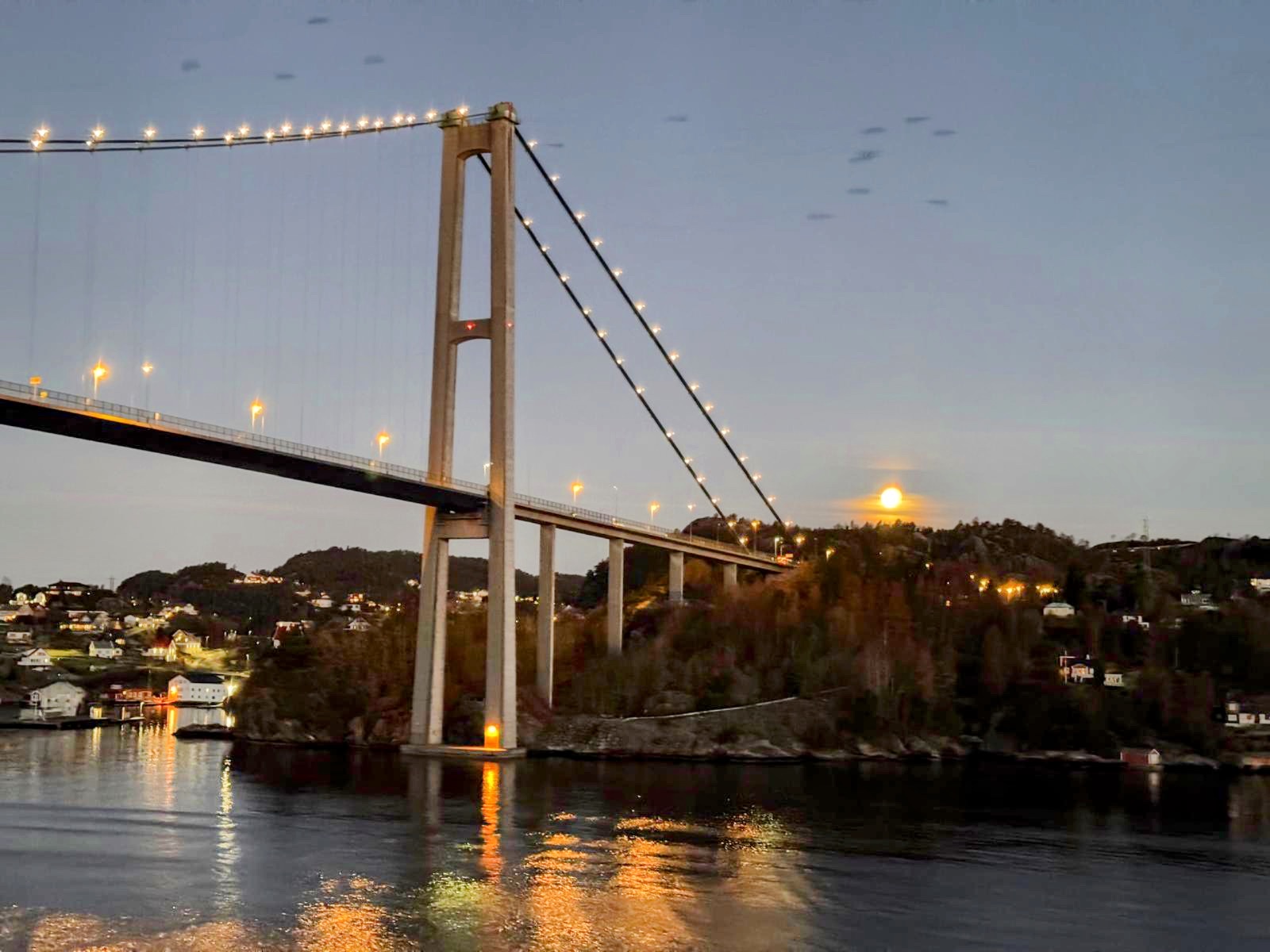 Ask y Bridge Viewpoint 2026 Best Of TikTok Instagram Reddit ask-y-bridge-viewpoint-2026-best-of-tiktok-instagram-reddit