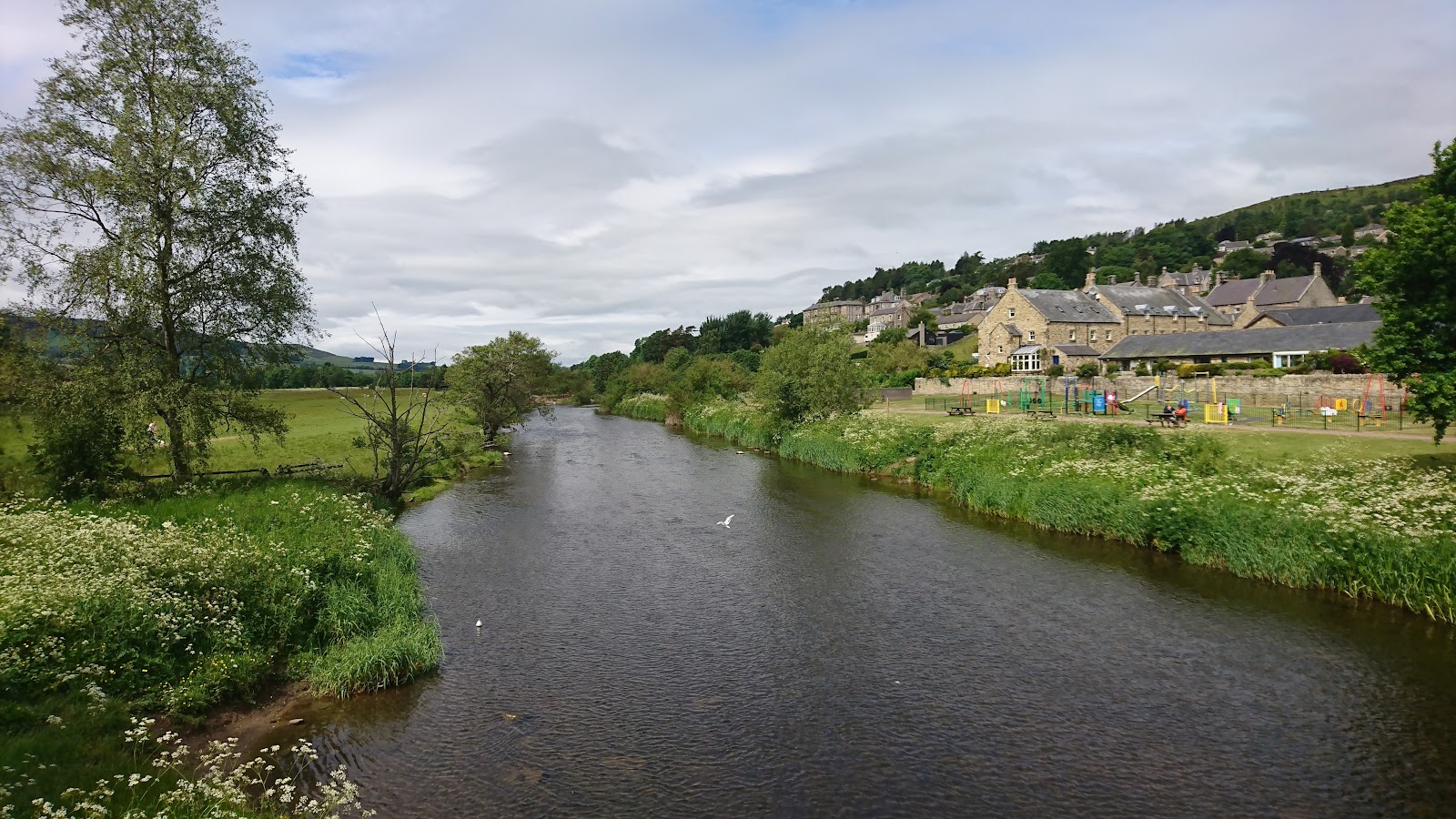 Adders Rothbury Rothbury Railway Path (2026) – Best of TikTok, Instagram & Reddit ...