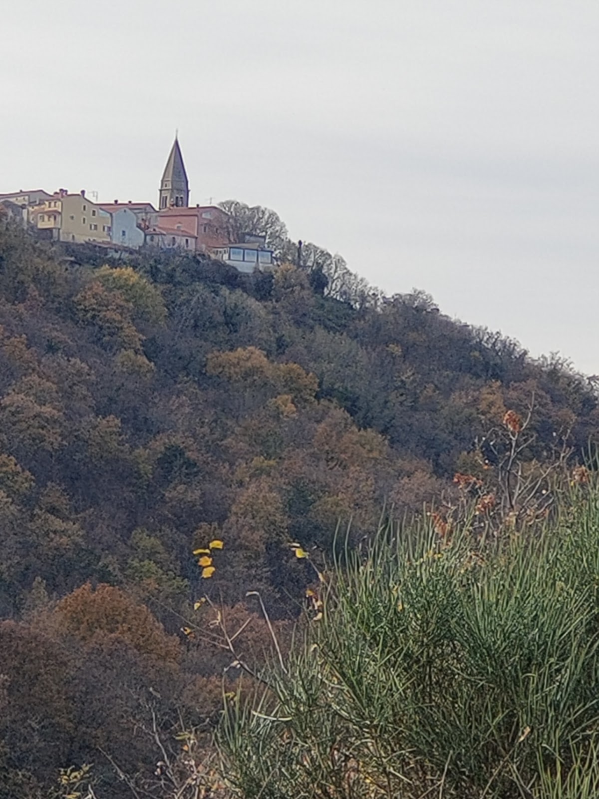 Padna Padna Village (2026) – Best of TikTok, Instagram & Reddit Travel Guide