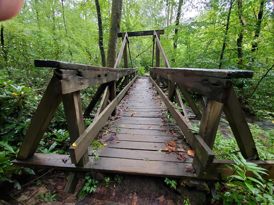 Cat Gap Loop (2026) – Best of TikTok, Instagram & Reddit Travel Guide