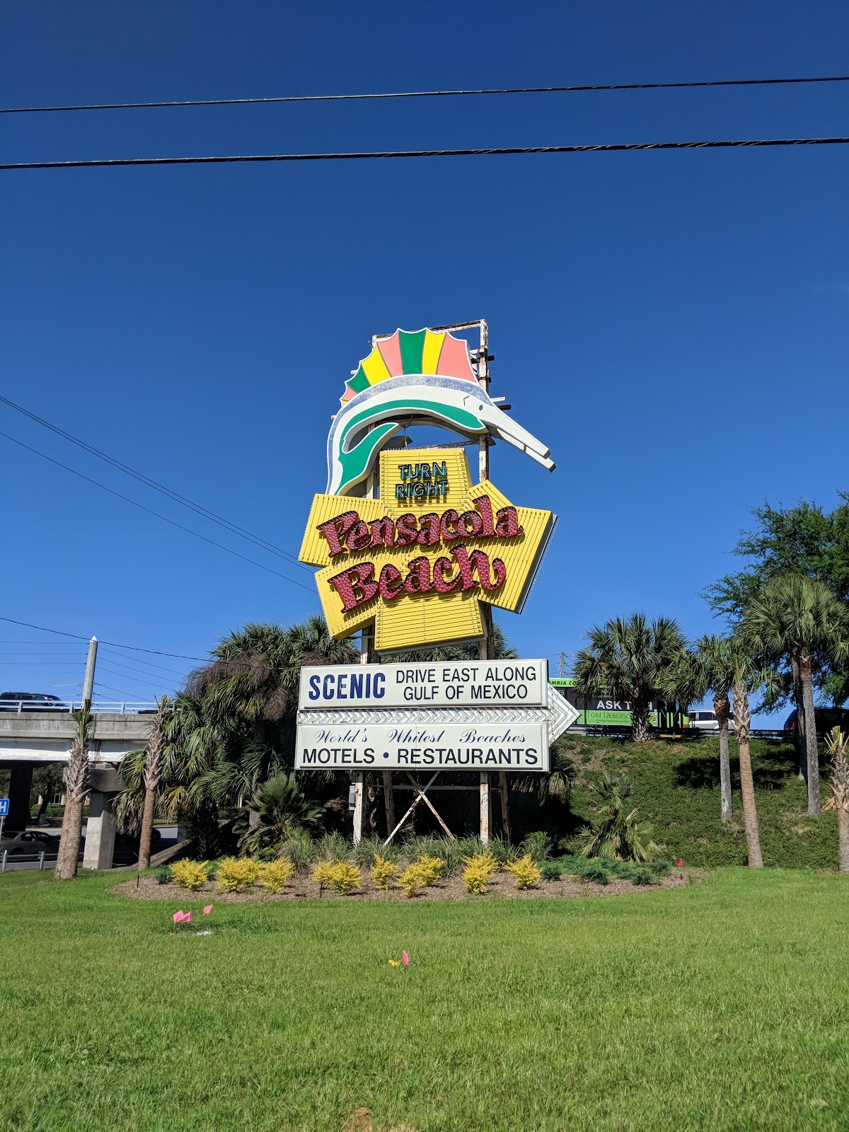 Pensacola Beach Sailfish Sign (2025) โ Best of TikTok, Instagram ...