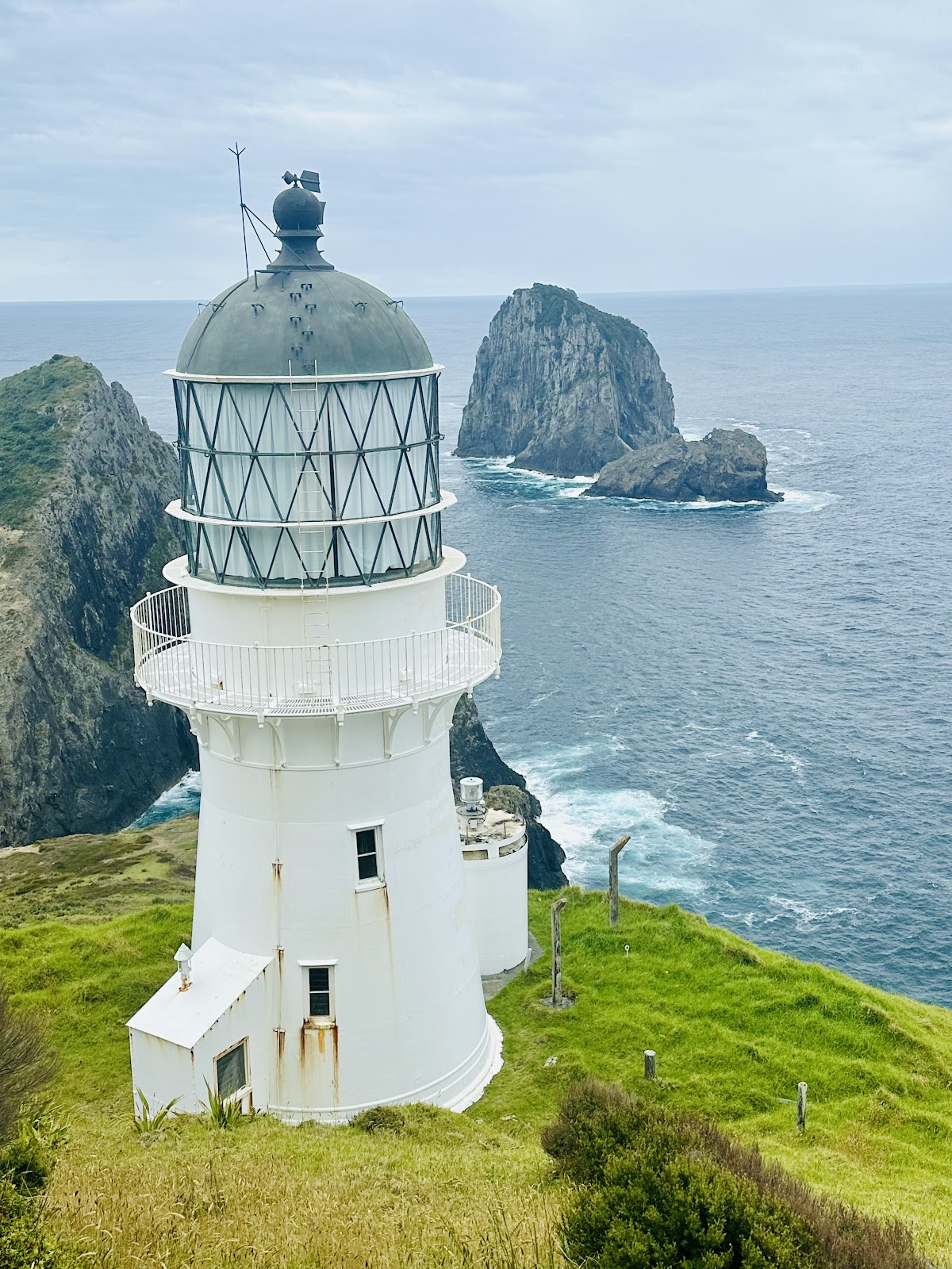 Cape Brett Lighthouse Track (2026) – Best of TikTok, Instagram & Reddit ...