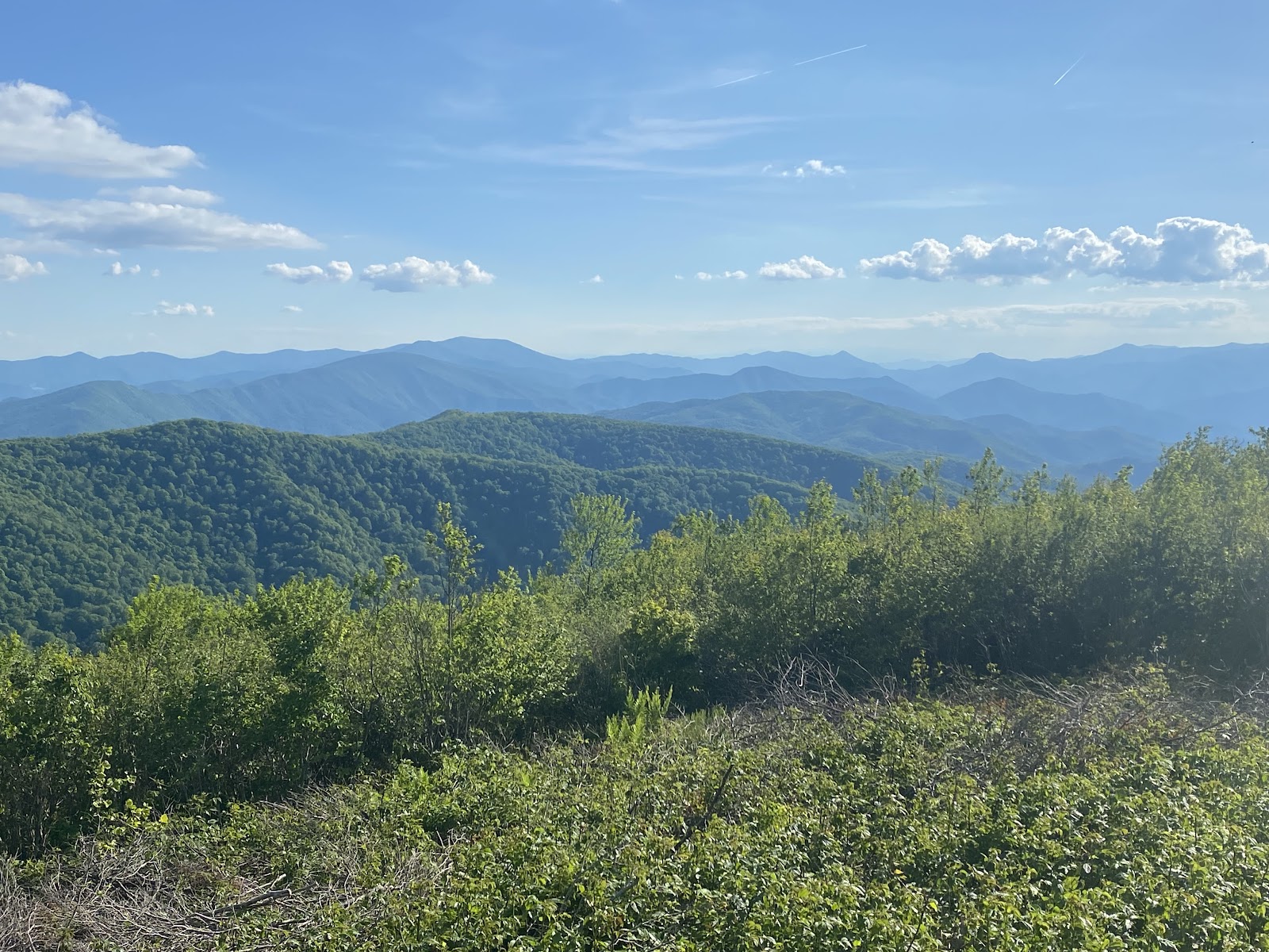 Unaka Blue Ridge Unaka Mountain Scenic Road (2026) – Best of TikTok, Instagram & Reddit ...