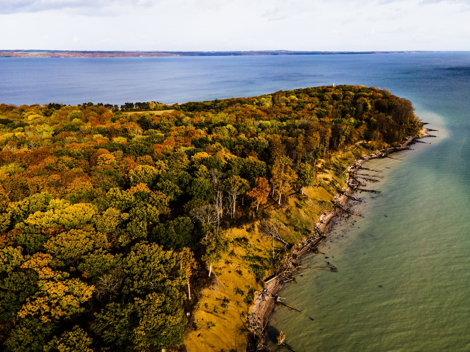 Trelde Næs Nature Reserve (2026) – Best of TikTok, Instagram & Reddit ...