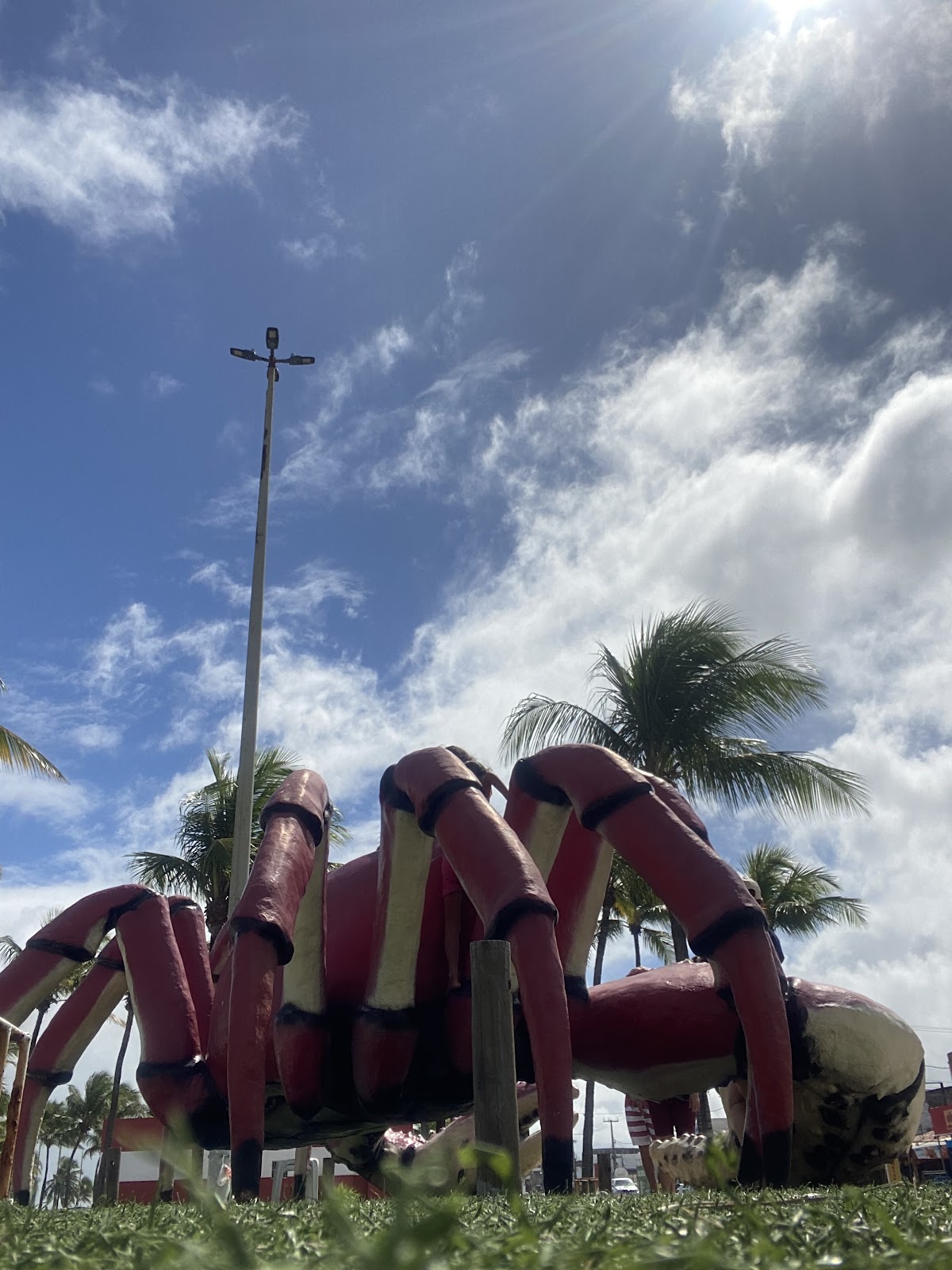 Caranguejo Gigante (2025) – Best of TikTok, Instagram \u0026 Reddit Travel Guide, image size:1200x1600