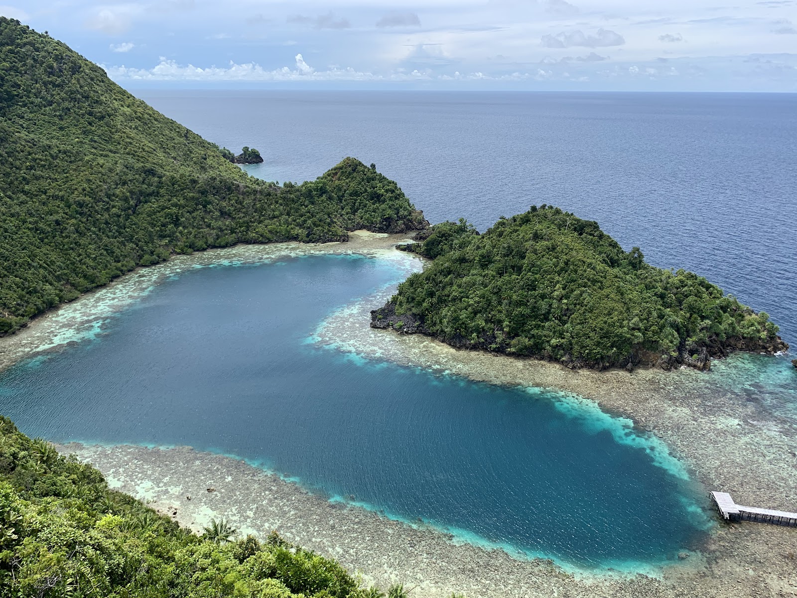 Shells From Misool Misool Archipelago (2026) – Best of TikTok, Instagram & Reddit Travel Guide