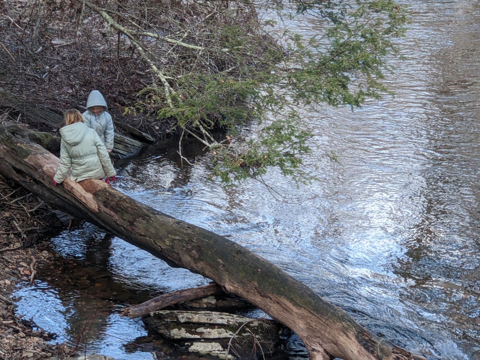 Patrell Ruff Patrell Preserve (2026) – Best of TikTok, Instagram & Reddit Travel Guide