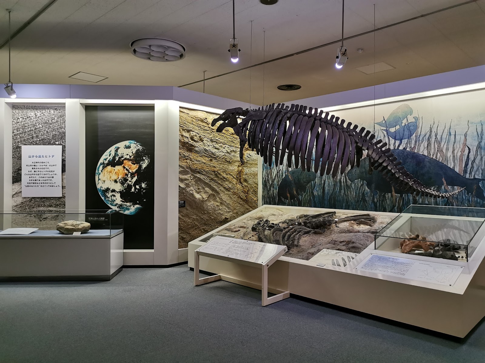 その他 YAMAGATA Digital Museum その他 YAMAGATA Digital Museum Yamagata Museum of Art (Surrounding