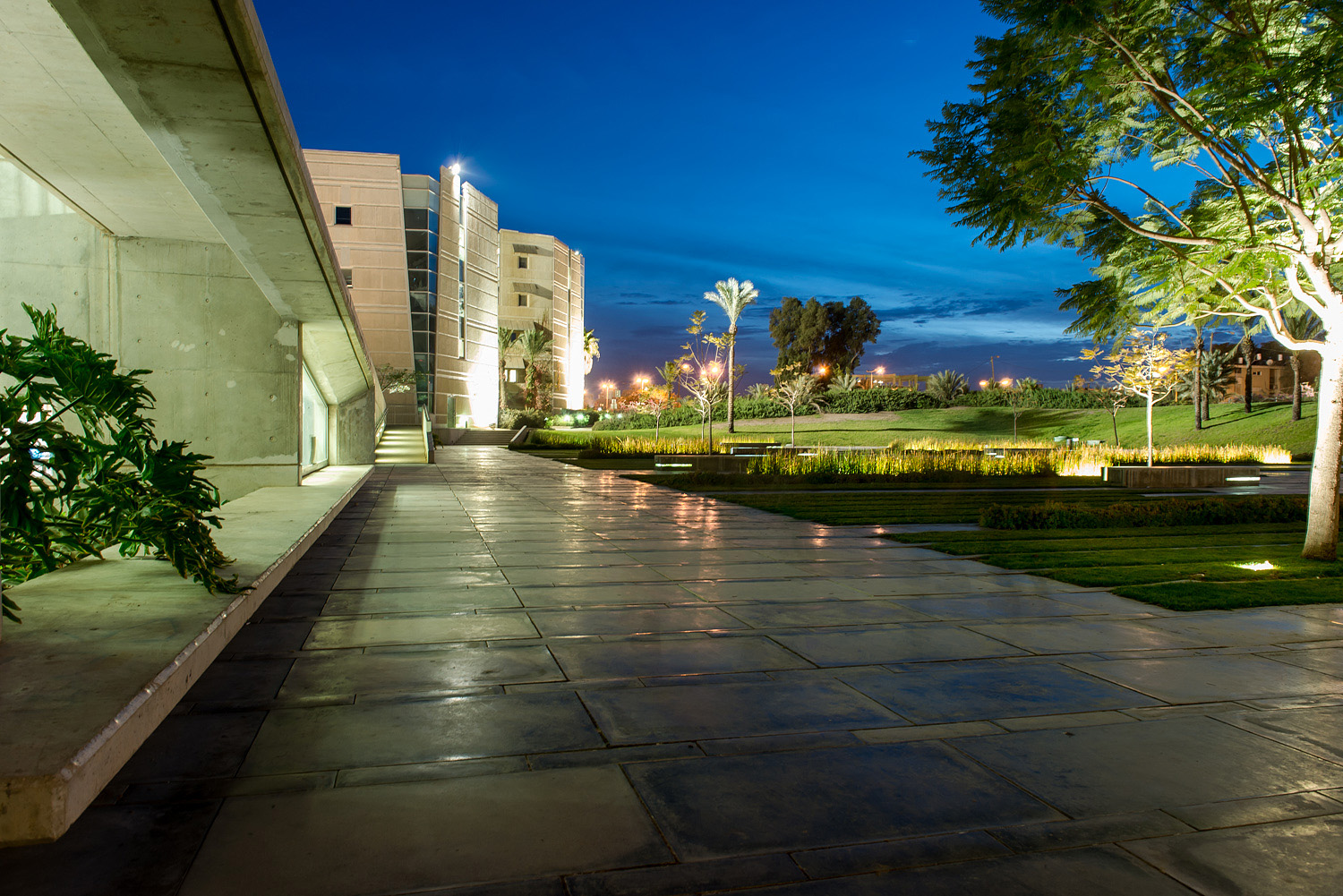 Ben-Gurion University of the Negev Marcus Campus (2026) – Best of ...
