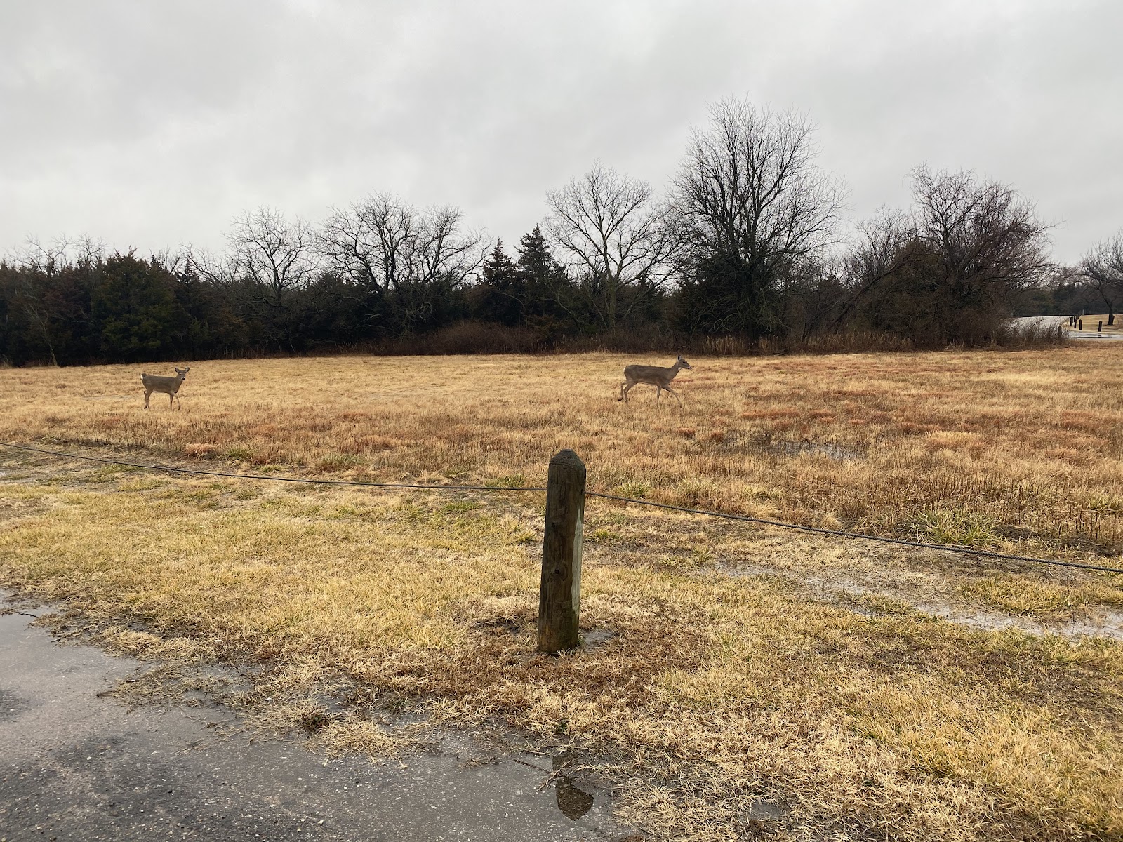 Chainlink Gallery Alley (2026) – Best of TikTok, Instagram & Reddit Travel  Guide