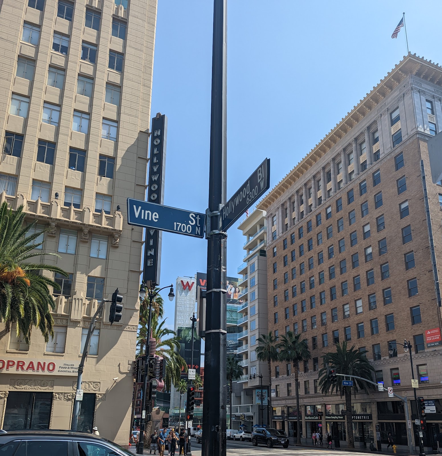 Hollywood and Vine (2026) – Best of TikTok, Instagram \u0026 Reddit Travel Guide, image size:1551x1600