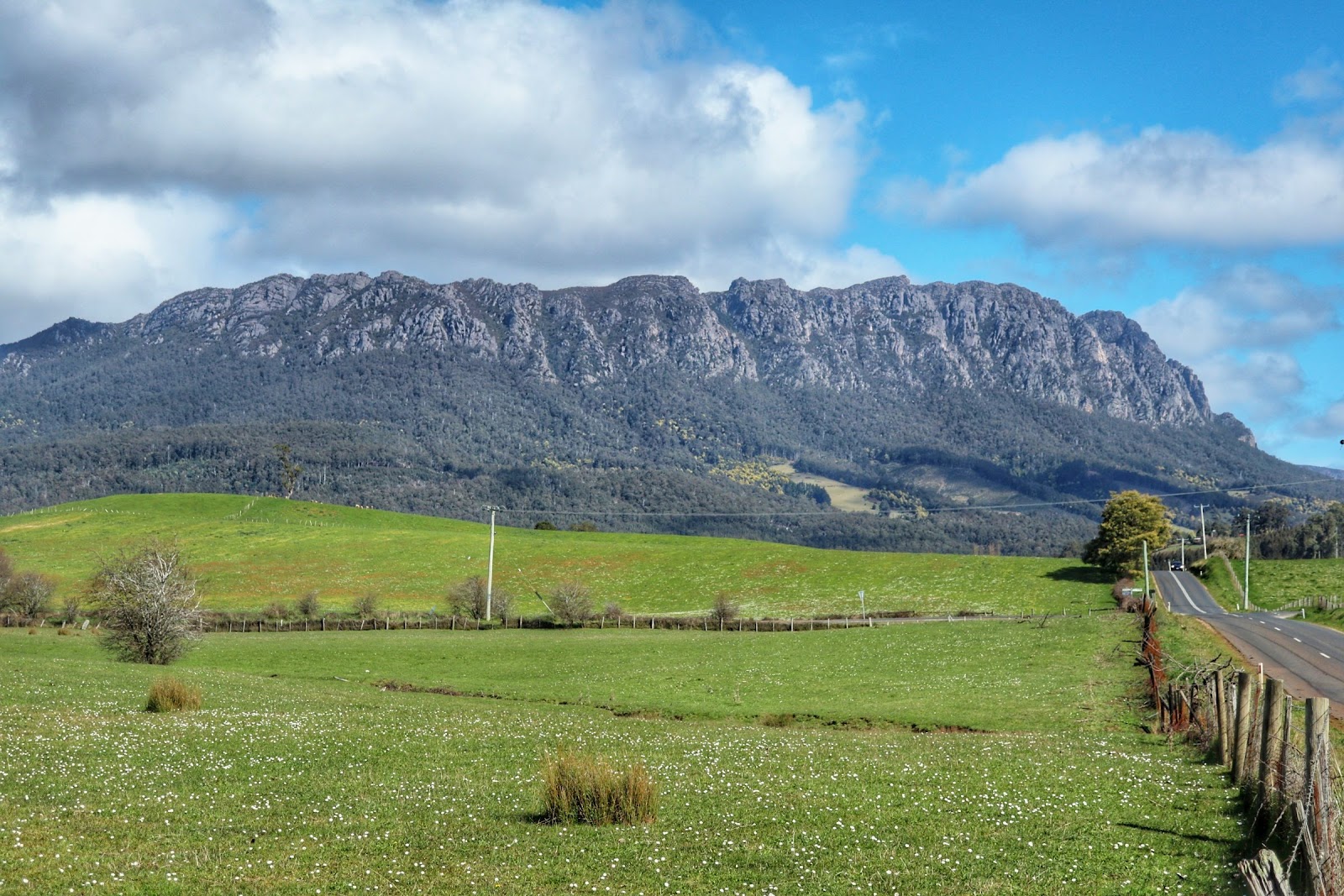 Stylized Mount Roland Mount Roland Tasmania (2026) – Best of TikTok, Instagram & Reddit ...