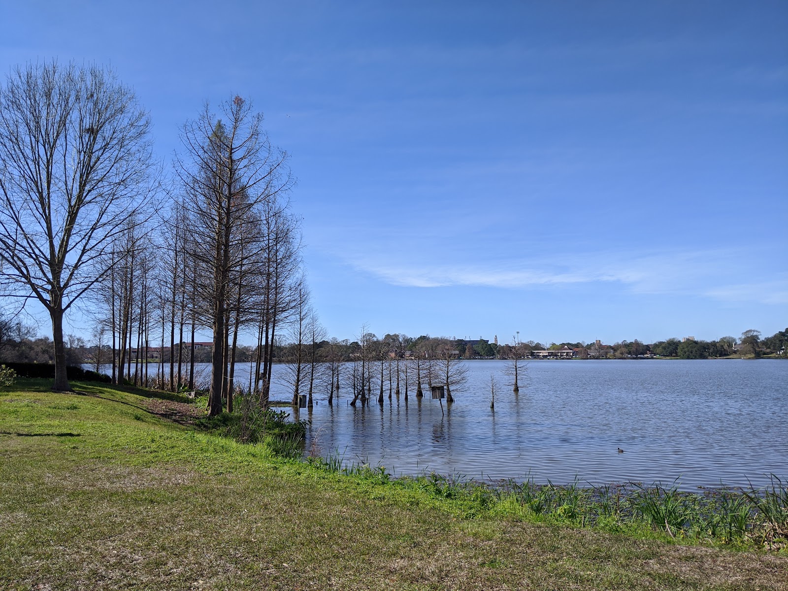University Lake Baton Rouge (2025) – Best of TikTok, Instagram & Reddit ...