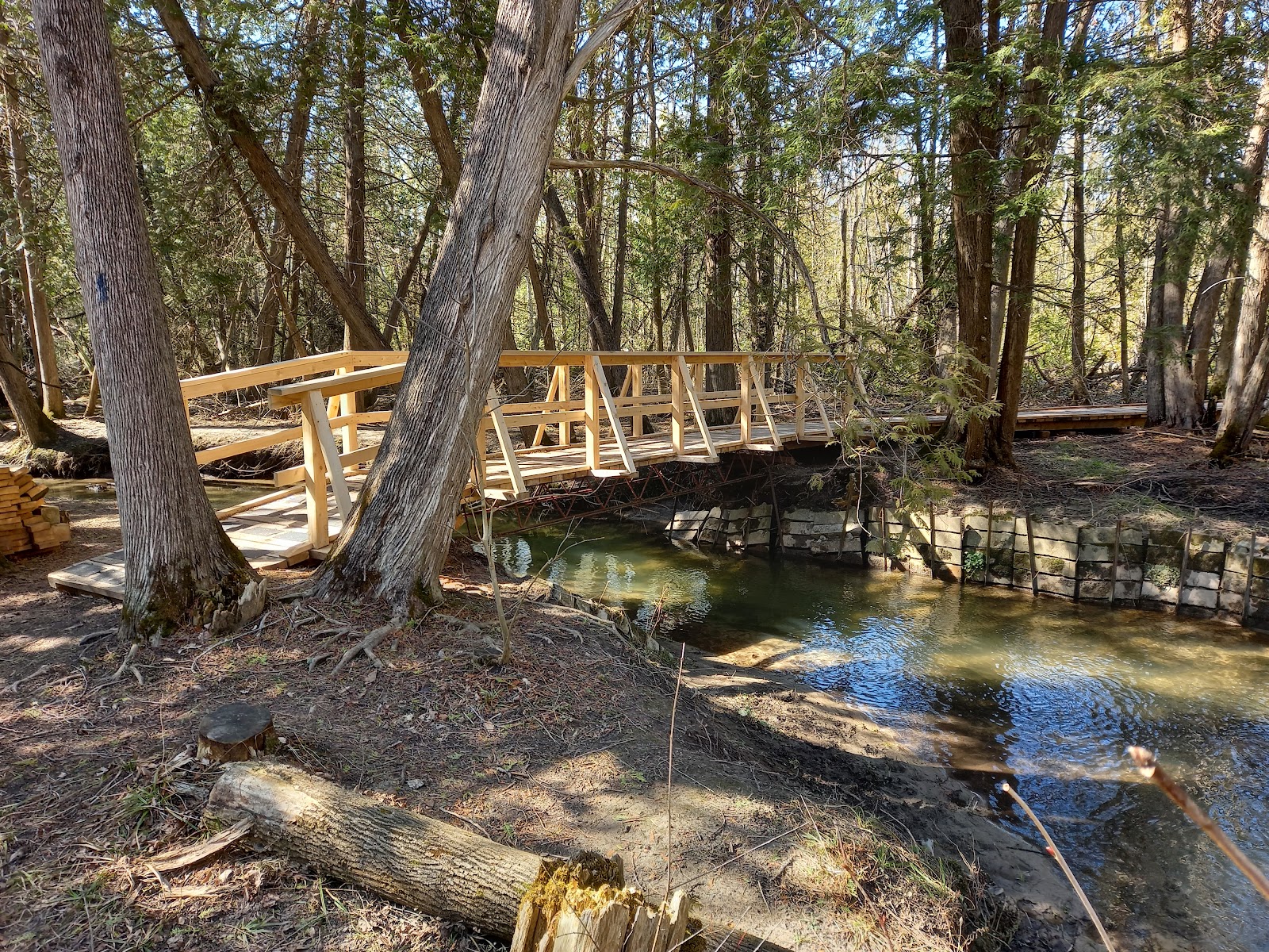 Naftel's Creek Conservation Area (2026) – Best of TikTok, Instagram