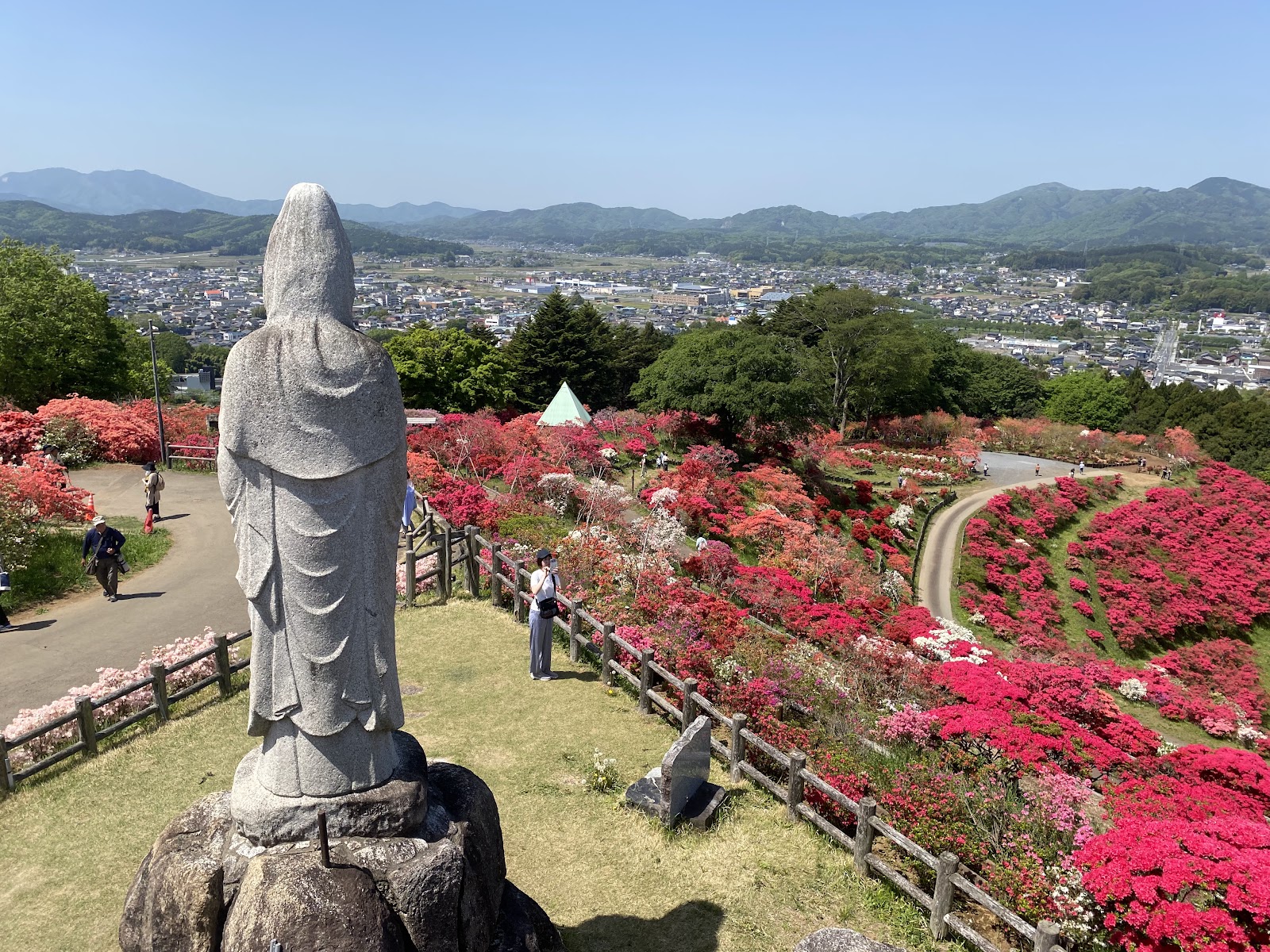 Kasama Tsutsuji Park (2025) – Best of TikTok, Instagram & Reddit