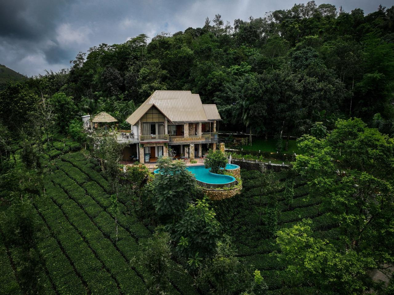 Vagamon Tea Estates (2025) – Best of TikTok, Instagram & Reddit Travel ...