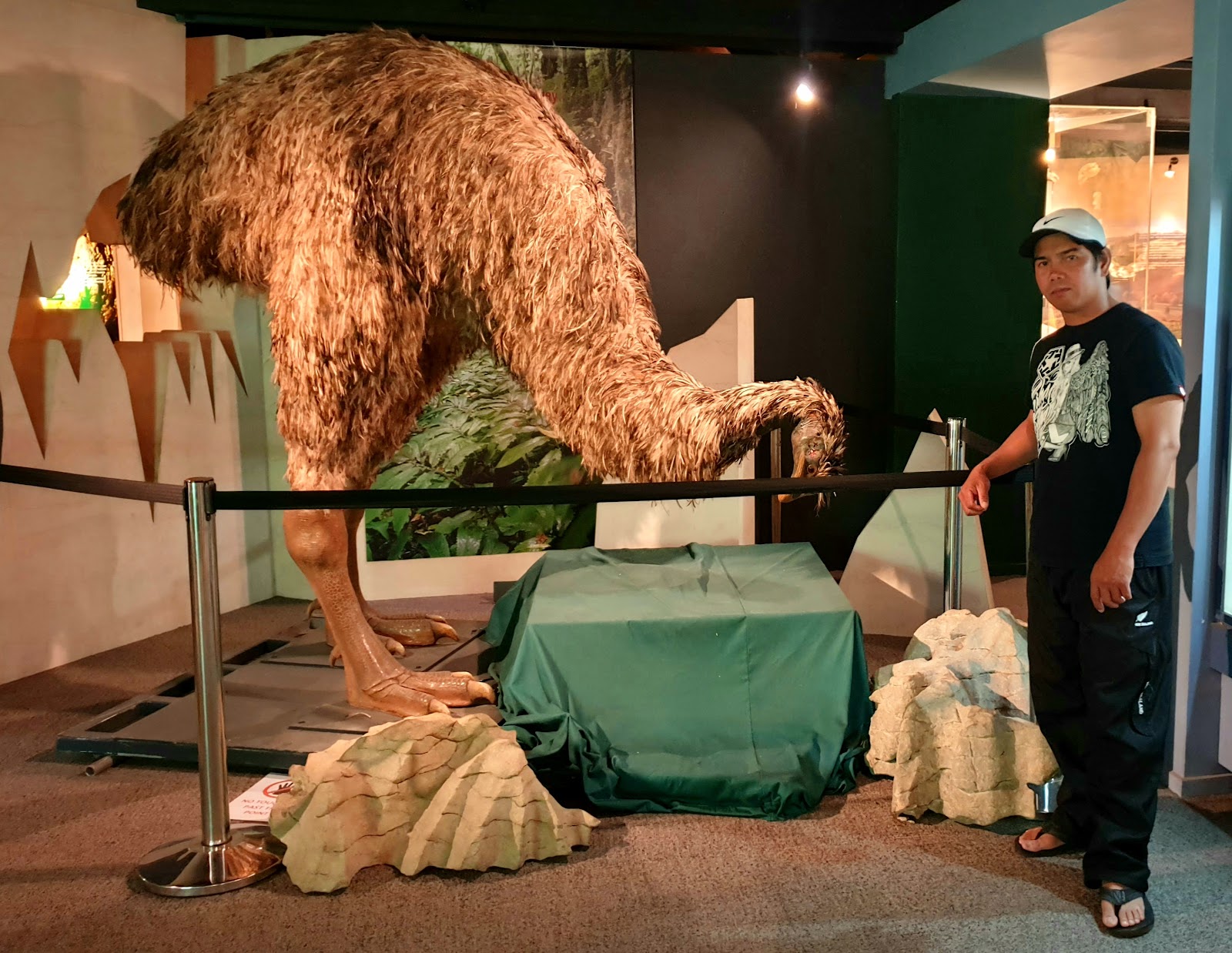 Waitomo Caves Discovery Centre (2026) – Best of TikTok, Instagram ...
