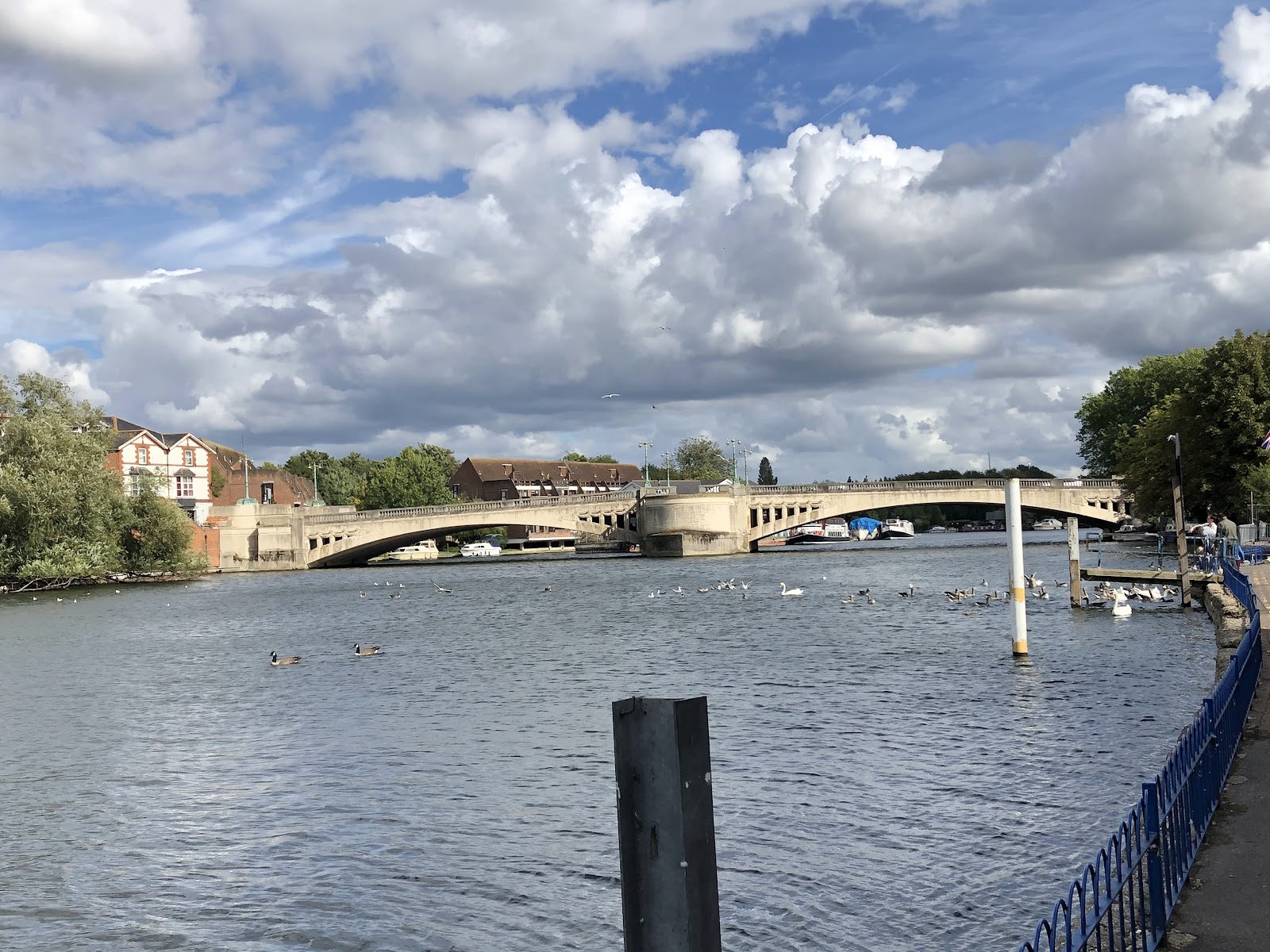 Caversham Bridge (2026) – Best of TikTok, Instagram & Reddit Travel Guide