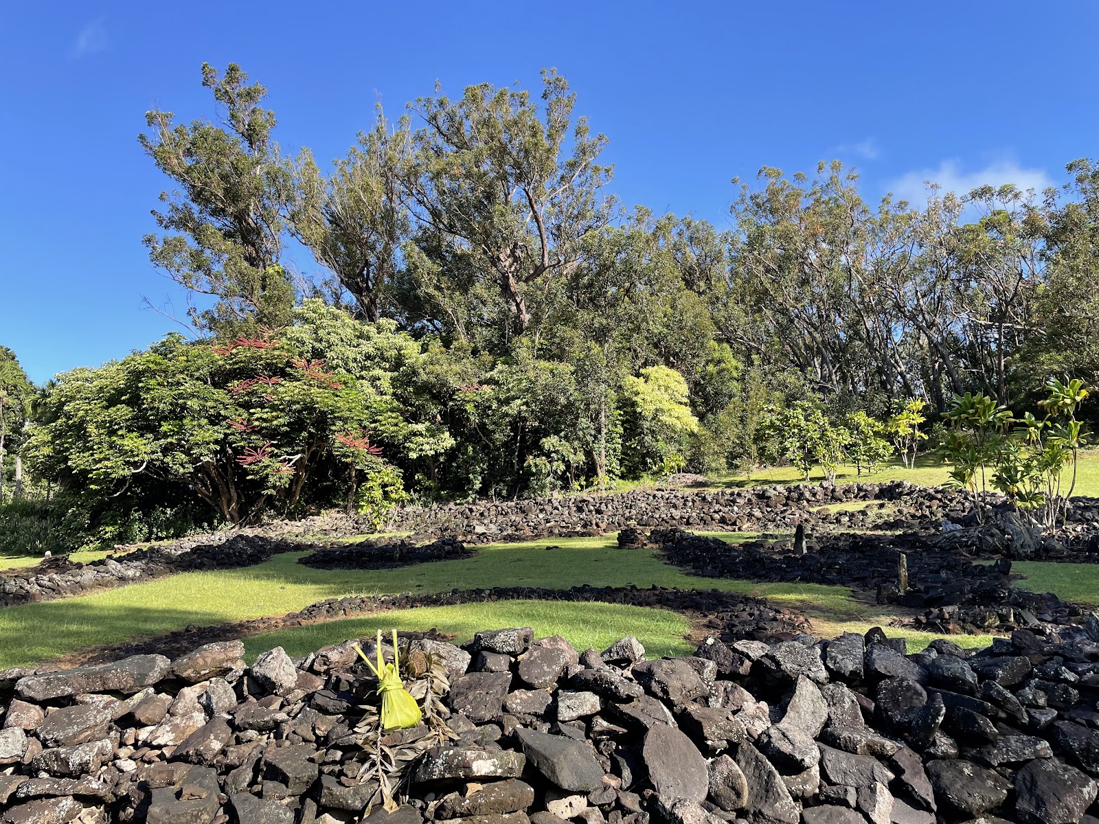 Moanalua Gardens Honolulu (2026) – Best of TikTok, Instagram