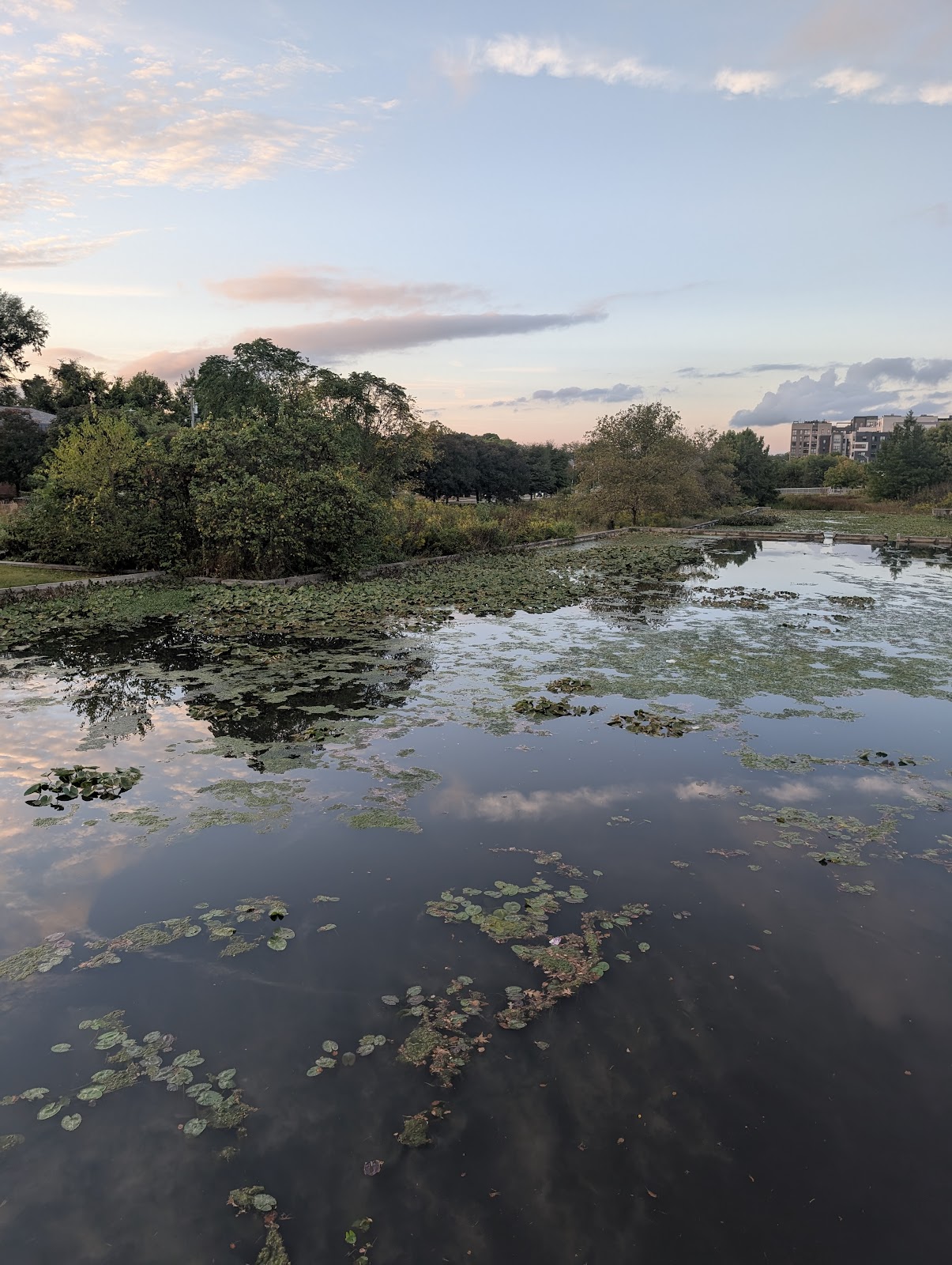 View from clear creeks 澄んだ小川の景色 Exploring Clear Creek State Park in Jefferson County - PA Bucket List