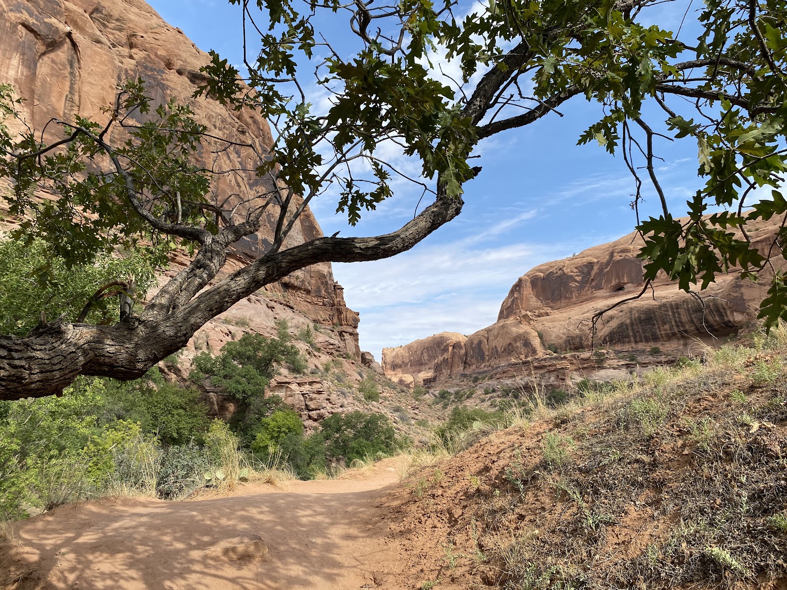 Morning Glory Arch (2026) – Best of TikTok, Instagram & Reddit