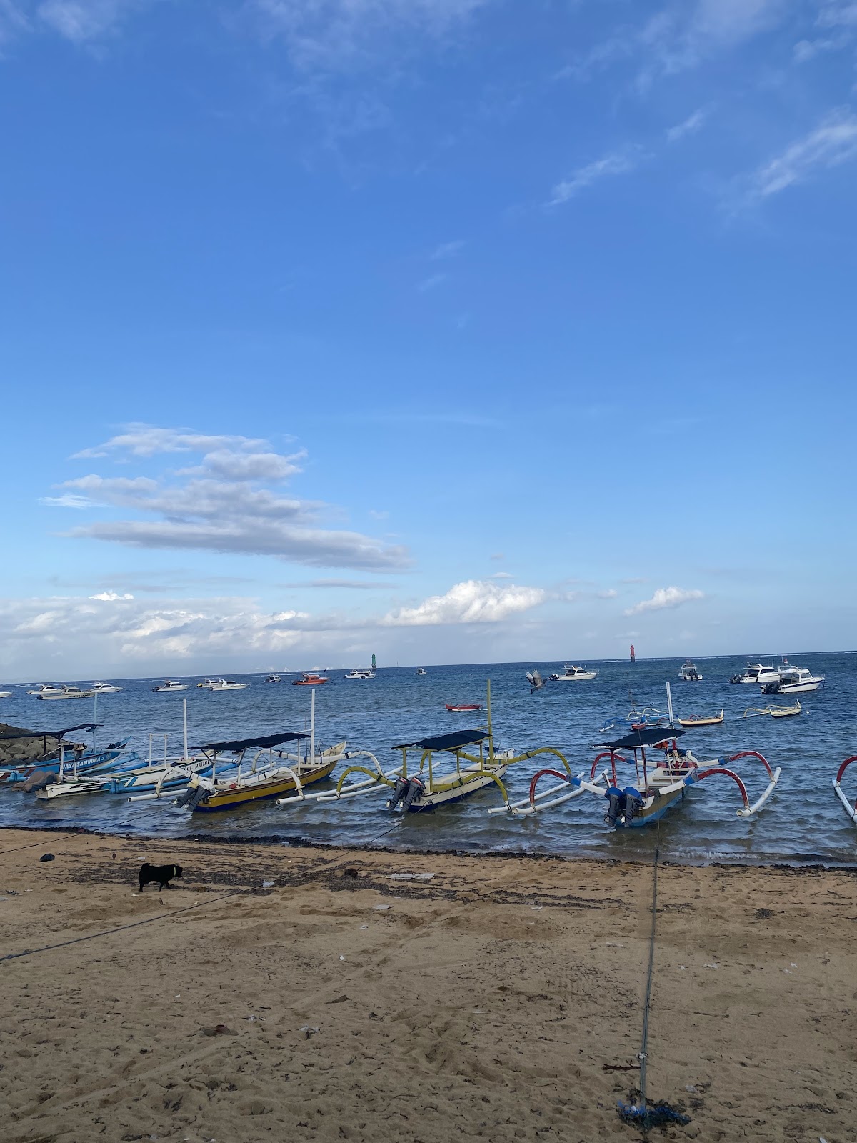 Semawang Beach Bali (2026) – Best of TikTok, Instagram & Reddit Travel ...