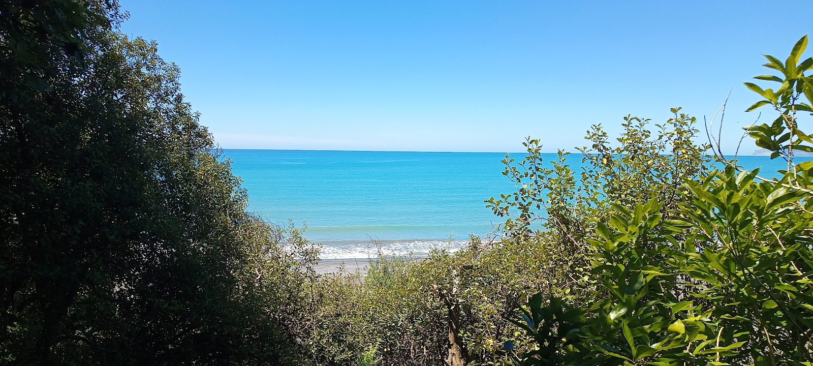 Rarangi Beach and Monkey Bay Track (2026) – Best of TikTok, Instagram ...