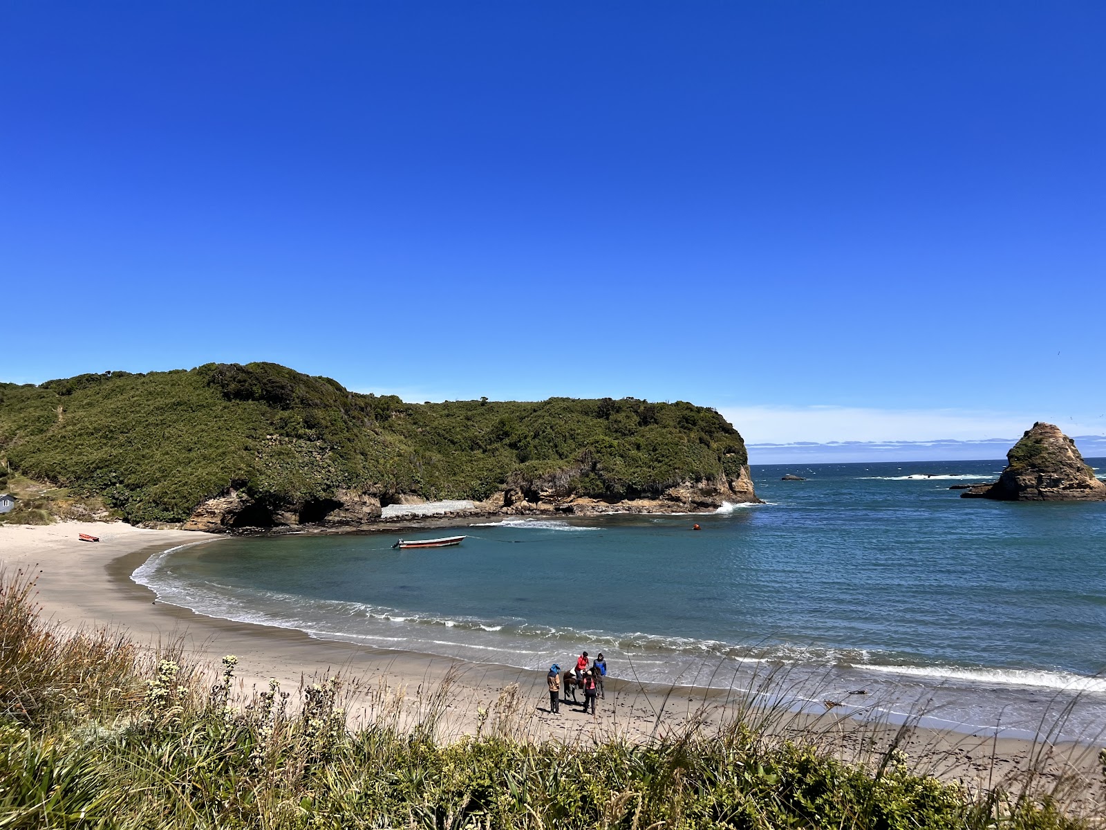 Ahuenco-Chepu Coastal Trail (2026) – Best of TikTok, Instagram & Reddit ...