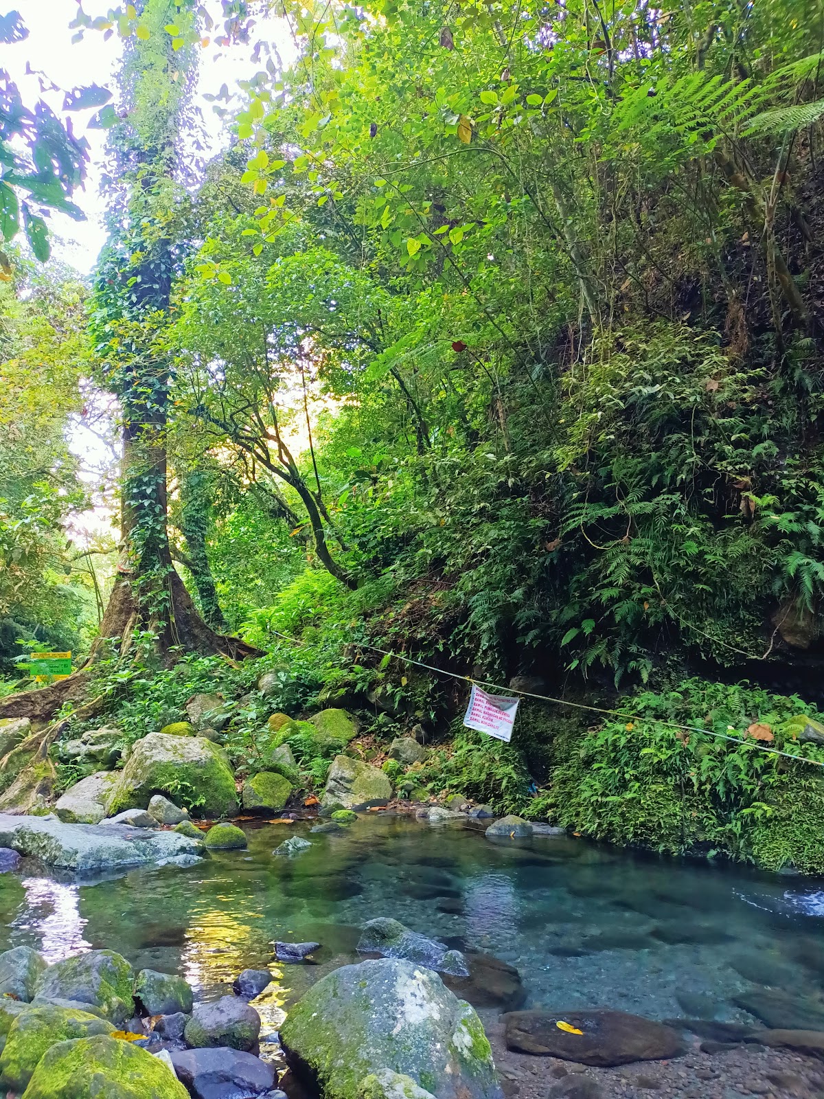 Linabuhayan Spring Kinabuhayan Falls Dolores Quezon (2026) β Best of TikTok, Instagram ...