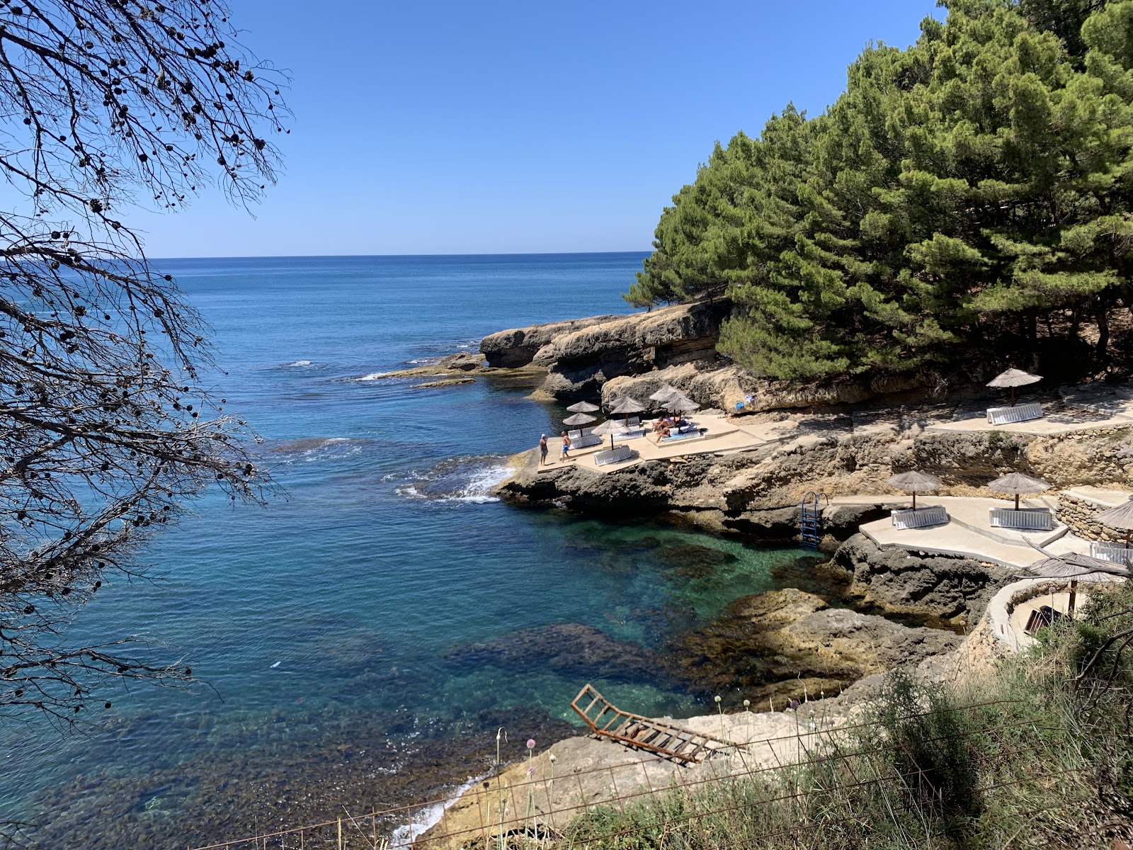 Borova Suma Ulcinj (2026) – Best of TikTok, Instagram & Reddit Travel Guide