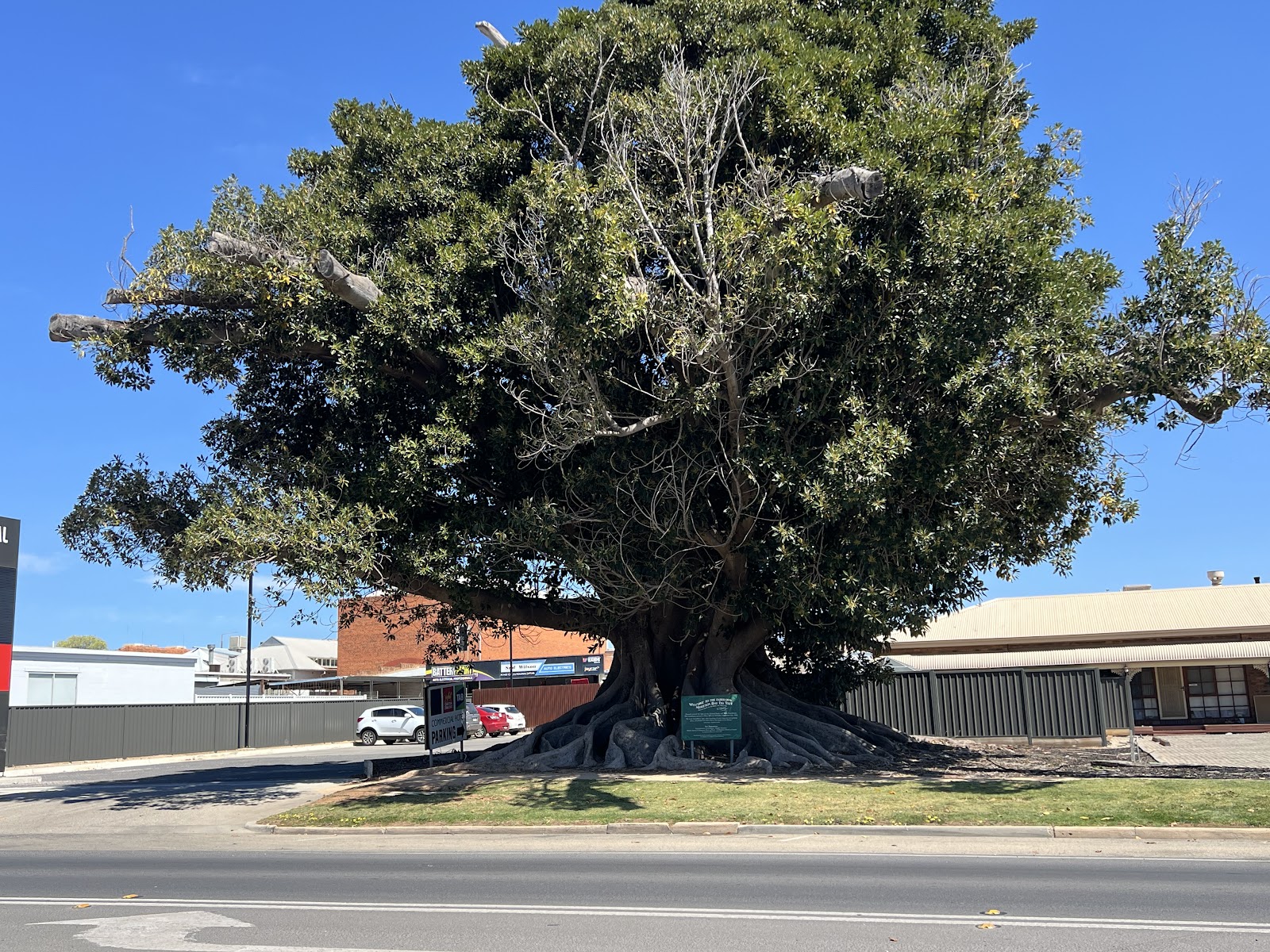 Burke and Wills Dig Tree (2026) – Best of TikTok, Instagram & Reddit ...