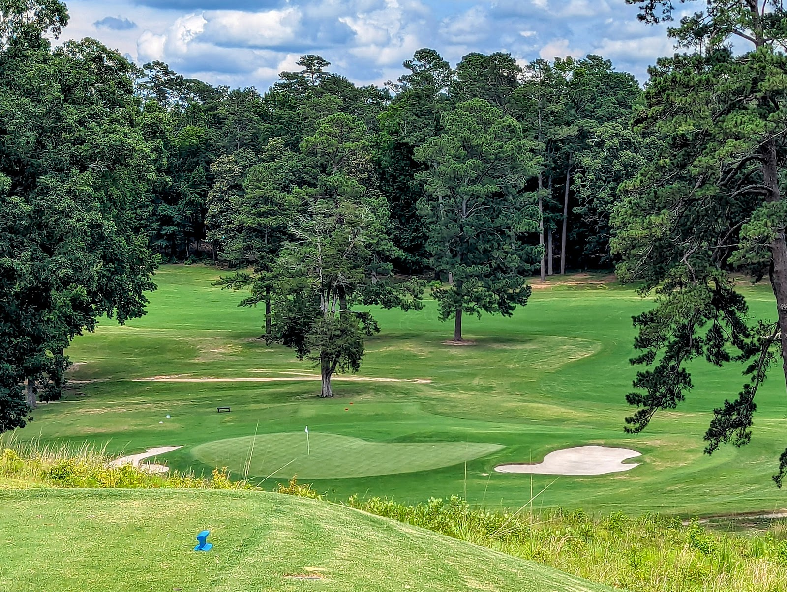Palmetto Golf Club (2026) – Best of TikTok, Instagram & Reddit Travel Guide