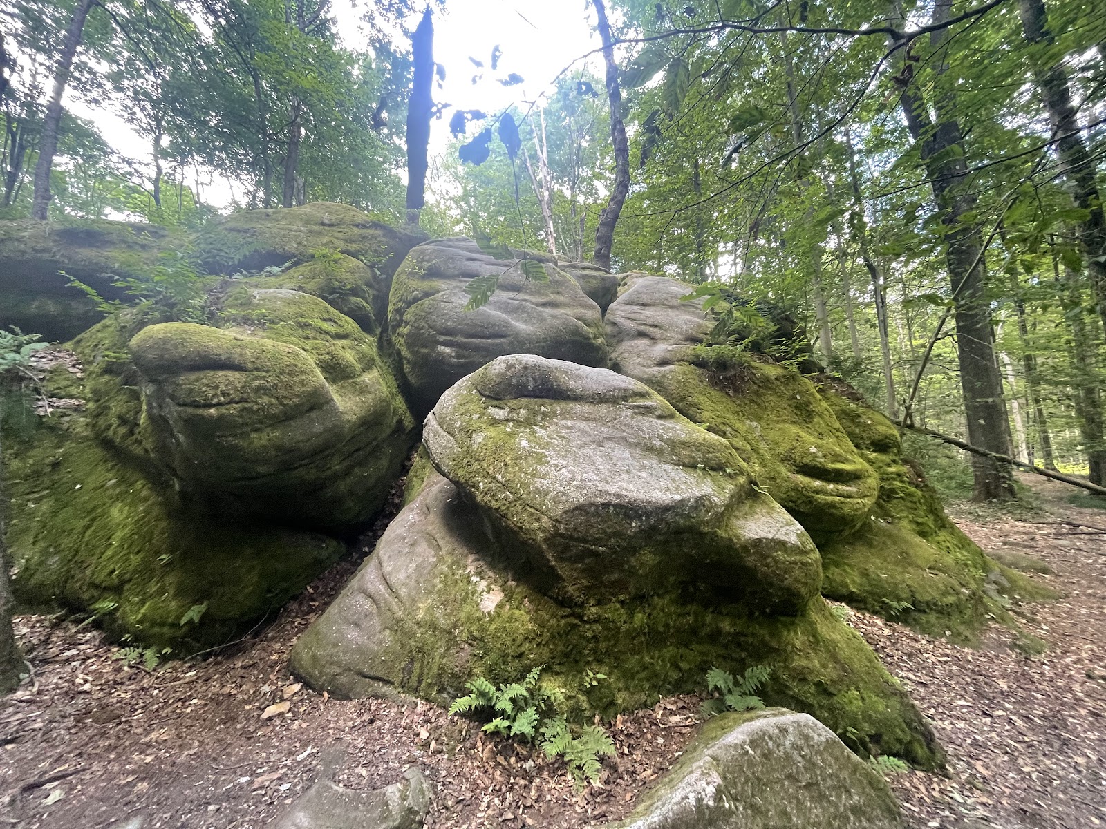 Thunder Rocks (2025) – Best of TikTok, Instagram & Reddit Travel Guide