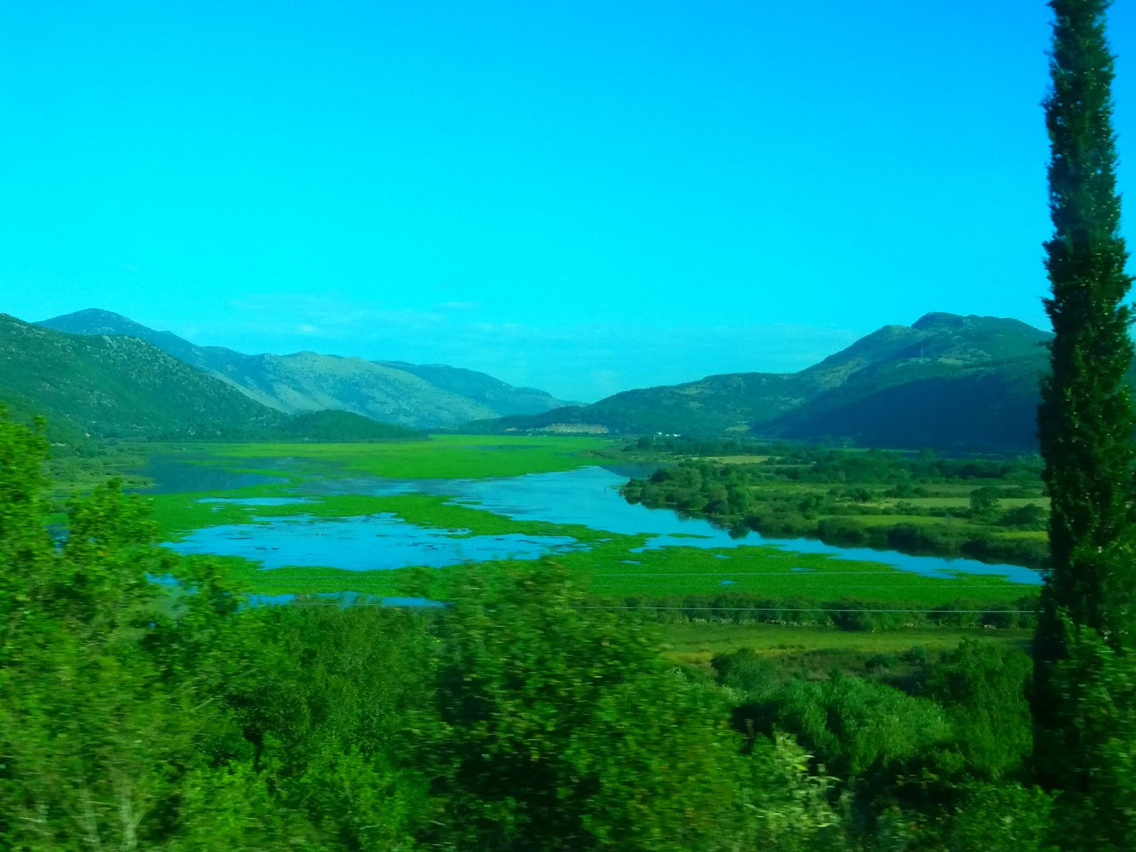 Kalodiki Wetland 2026 Best Of TikTok Instagram Reddit Travel Guide Kalodiki Wetland 2026 Best Of TikTok Instagram Reddit Travel Guide