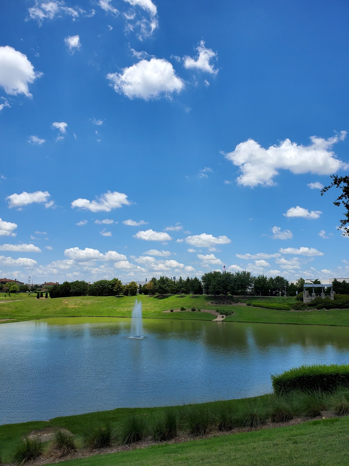 Rick Rice Park (2026) – Best of TikTok, Instagram & Reddit Travel Guide
