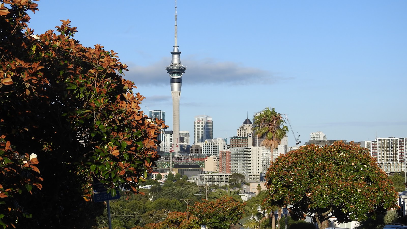 Ponsonby Road Auckland 2026 Best Of TikTok Instagram Reddit Gphoto 0 