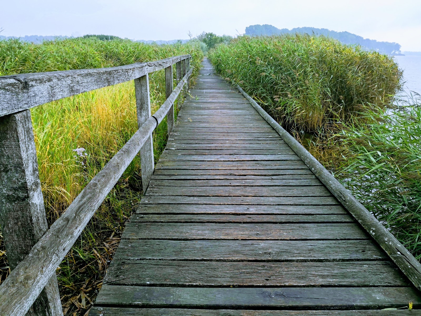 Priwall Nature Reserve (2025) – Best of TikTok, Instagram \u0026 Reddit Travel  Guide, image size:1600x1200