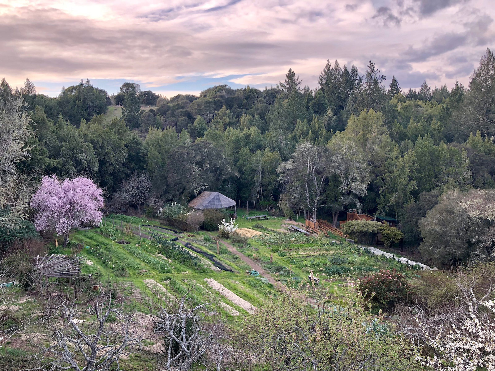 Occidental Arts & Ecology Center: CA Permaculture Hub