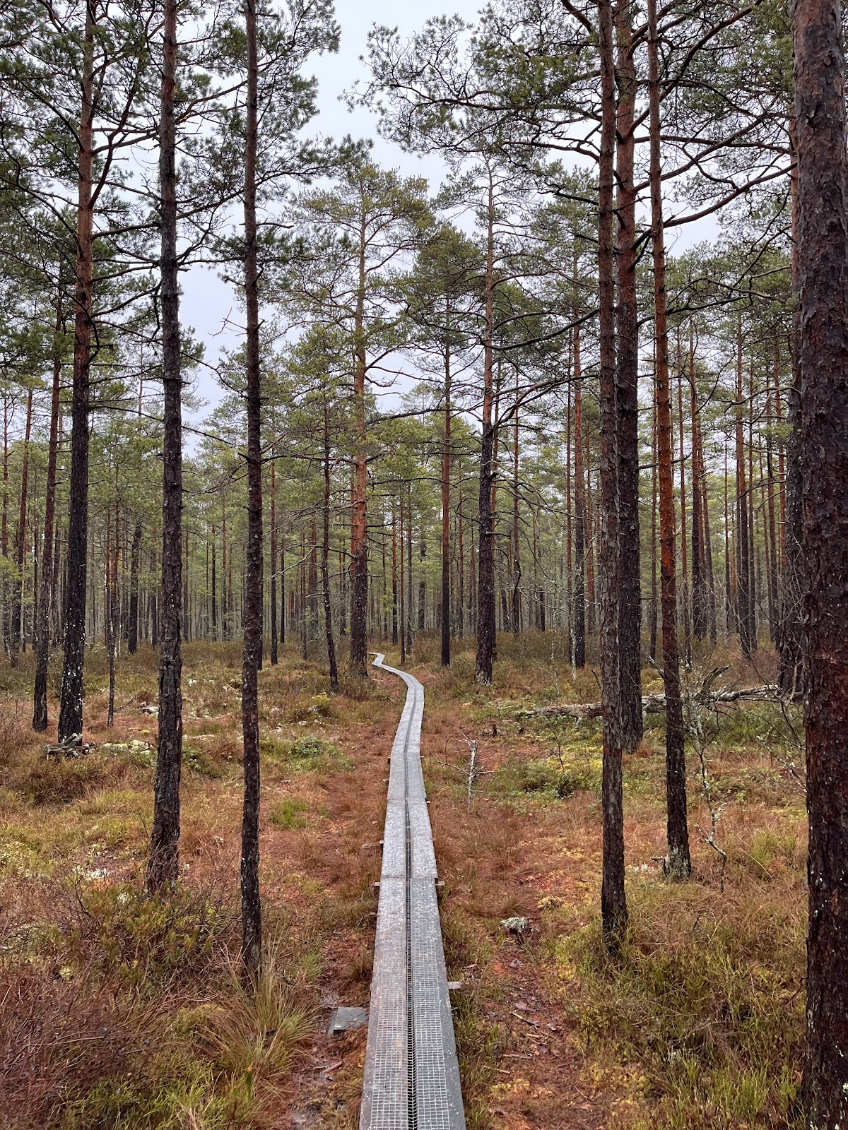 Helgasjön Lakeside Trails (2026) – Best of TikTok, Instagram & Reddit ...
