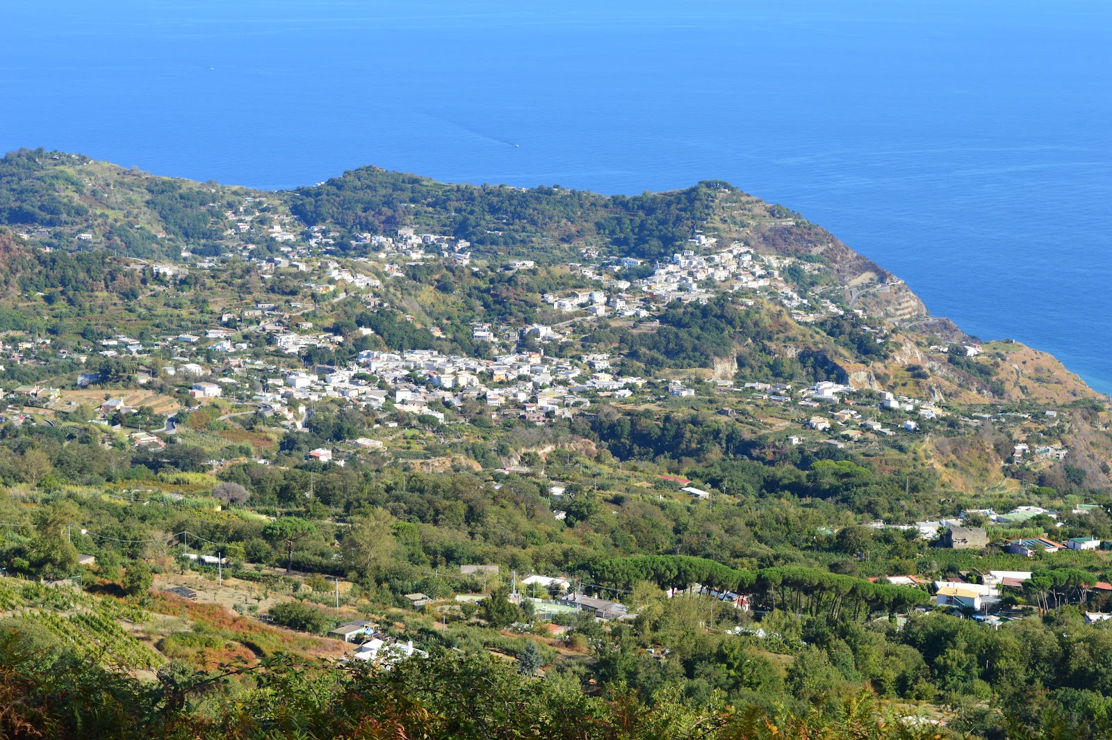 Barano d'Ischia (2026) – Best of TikTok, Instagram & Reddit Travel Guide